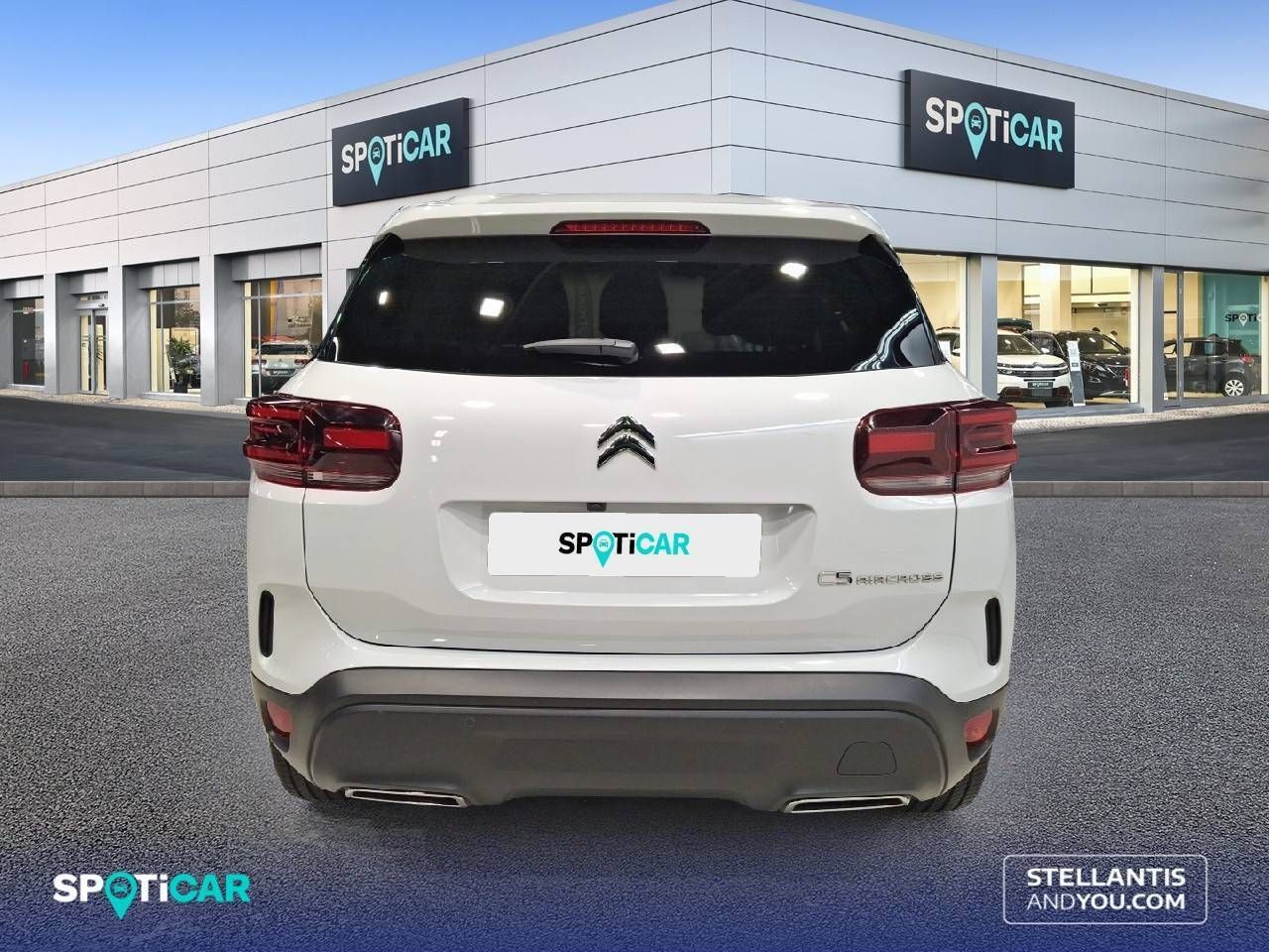 Citroën C5 Aircross BlueHdi 96kW (130CV) S&S EAT8 Plus - foto 7