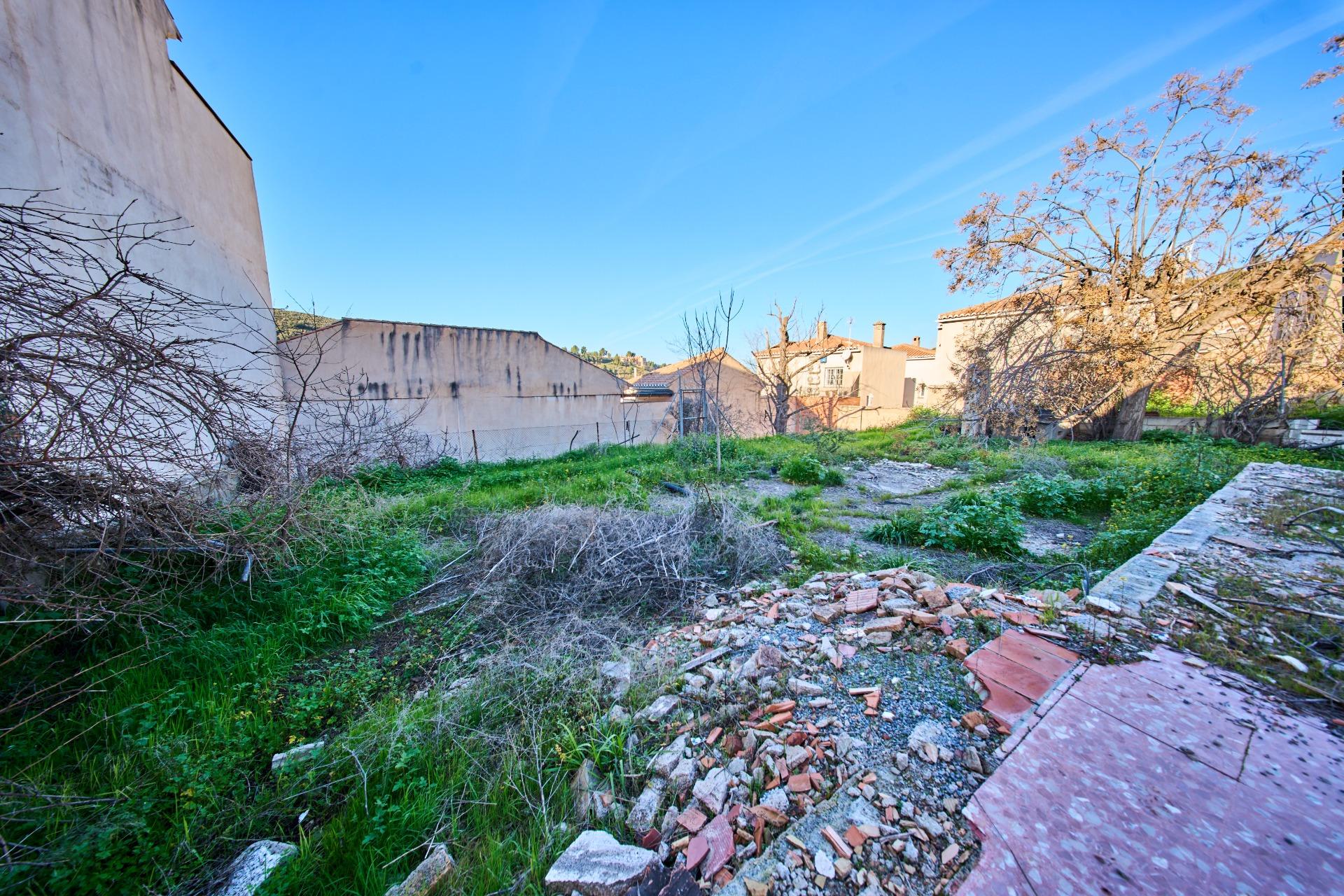 TERRENO EN CARRETERA DE LA SIERRA - foto 15