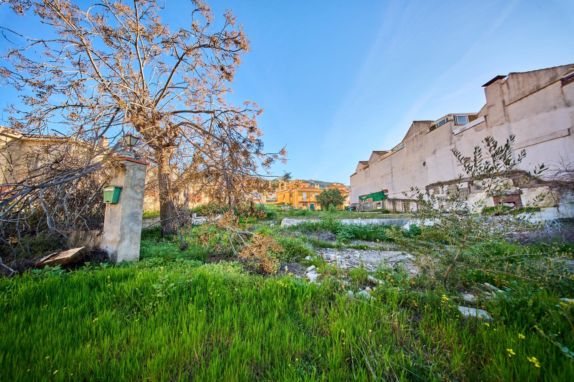 TERRENO EN CARRETERA DE LA SIERRA - foto 18