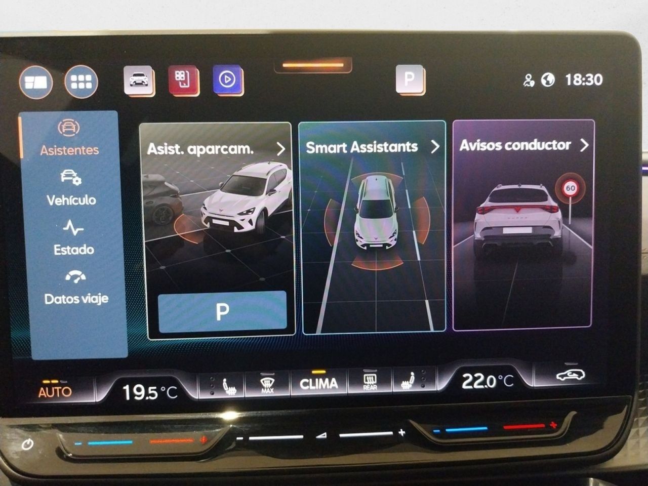 Cupra Formentor 1.5 eTSI 110kW (150 CV) DSG - foto 14