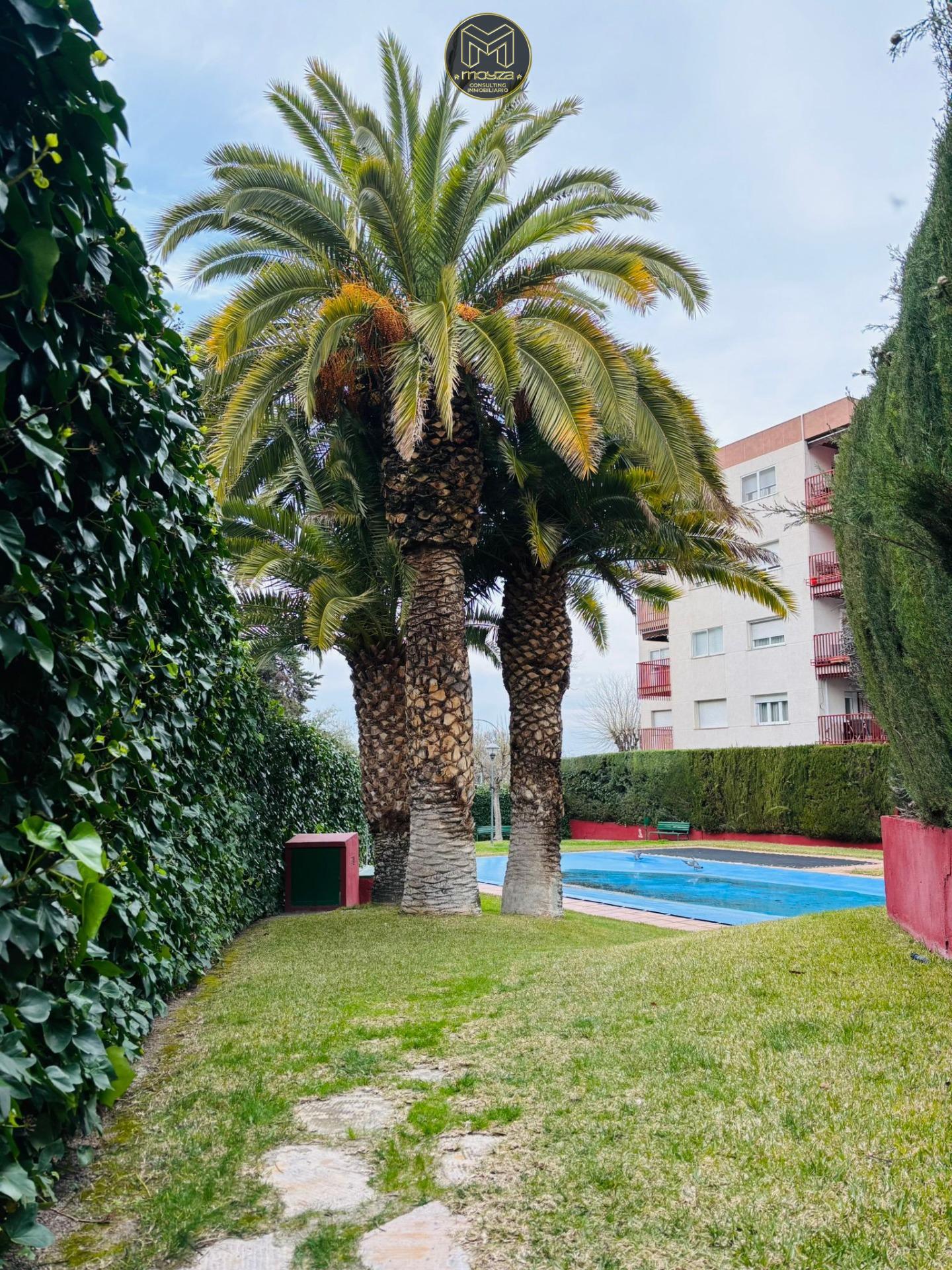 PISO EN EJÉRCITO ESPAÑOL - foto 44