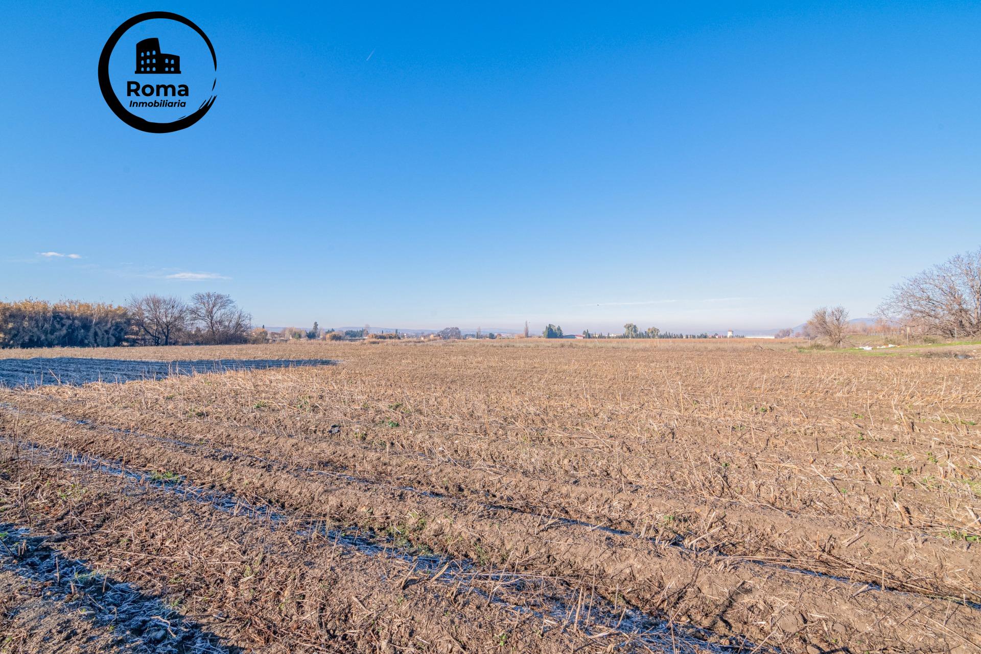 Excelente finca de regadío en la Vega de Granada, con acceso - foto 11