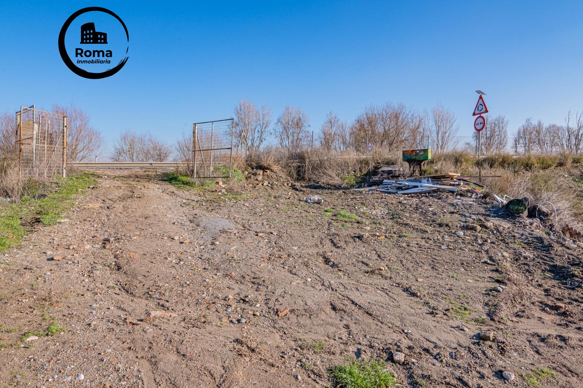 Excelente finca de regadío en la Vega de Granada, con acceso - foto 24