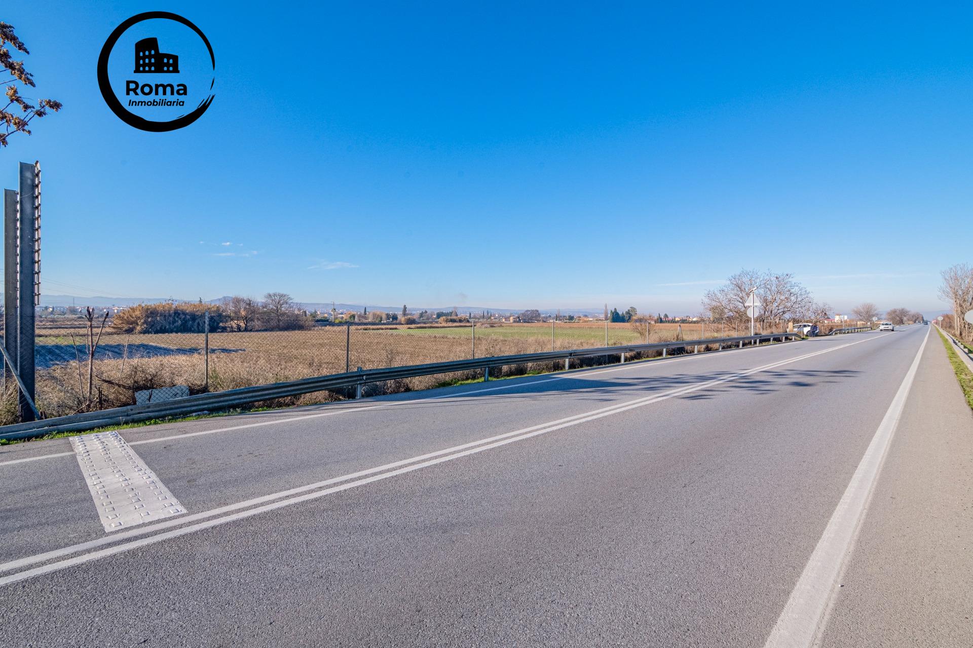 Excelente finca de regadío en la Vega de Granada, con acceso - foto 26