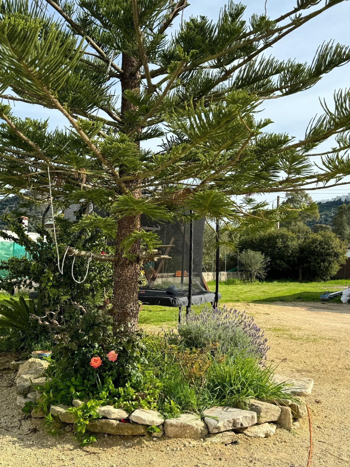 PRECIOSO CHALET CON VISTAS A VEJER DE LA FRNTERA - foto 36