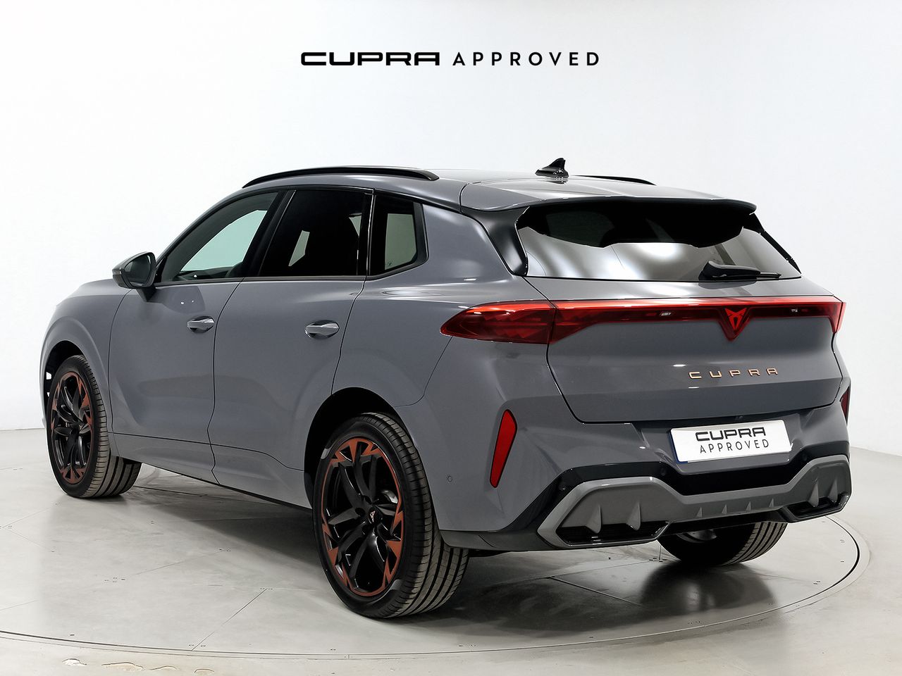 Cupra Terramar 2.0 TSI 195kW (265 CV) VZ DSG 4 Drive - foto 2