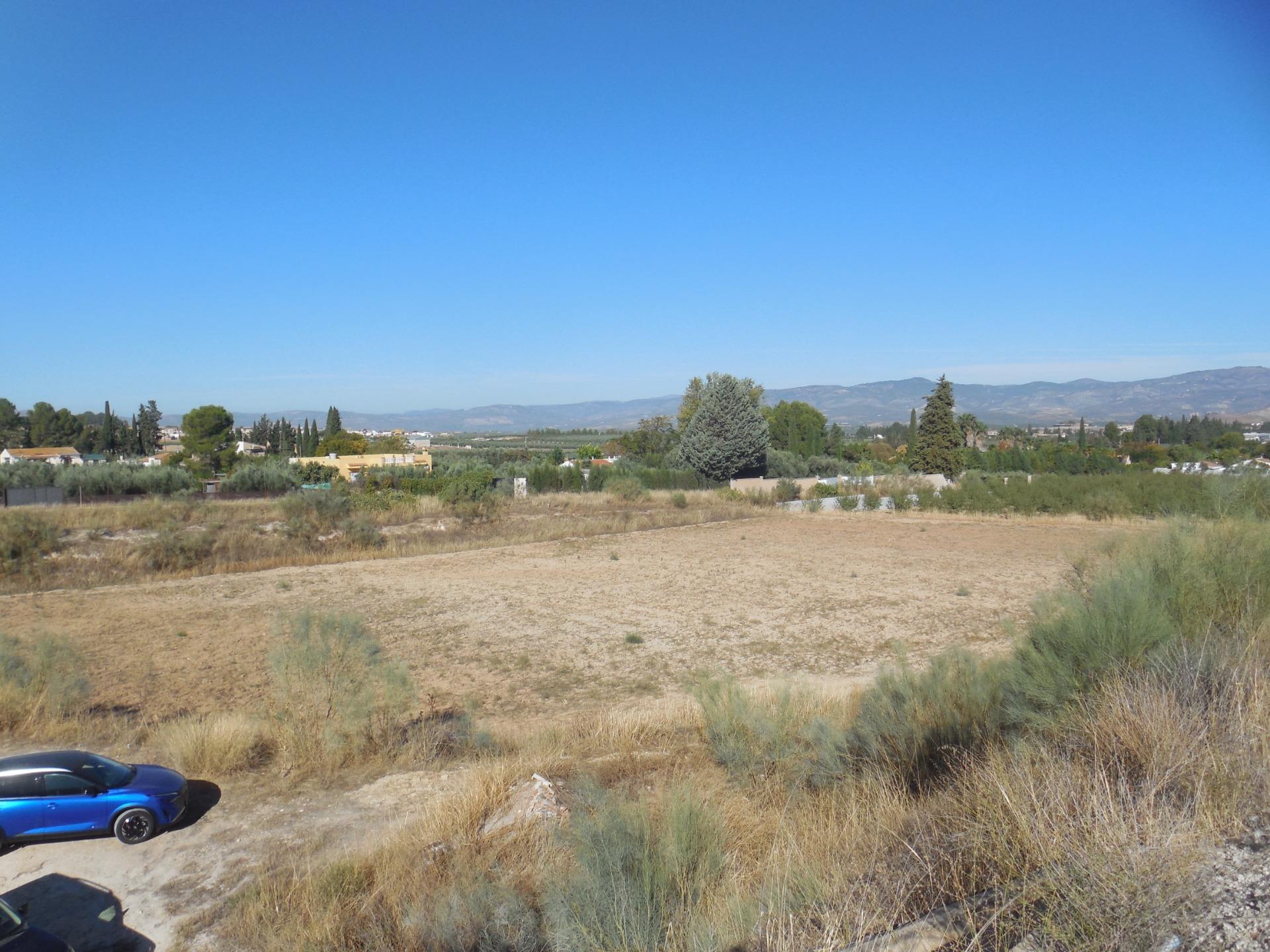 Finca de Regadio en Los Llanos de Moraleda