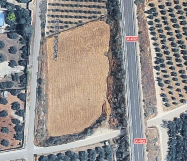 Finca de Regadio en Los Llanos de Moraleda - foto 8