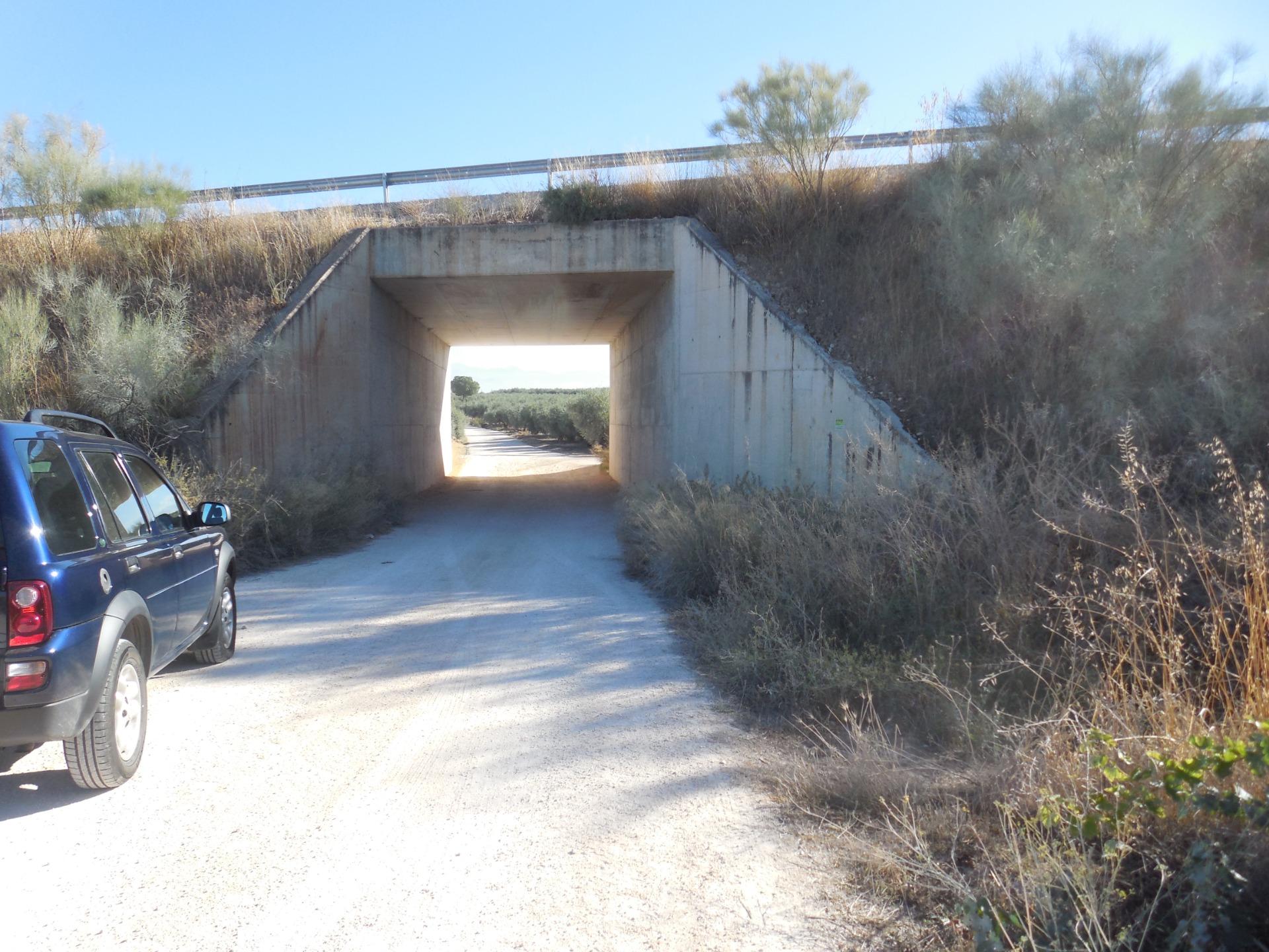 Finca de Regadio en Los Llanos de Moraleda - foto 11