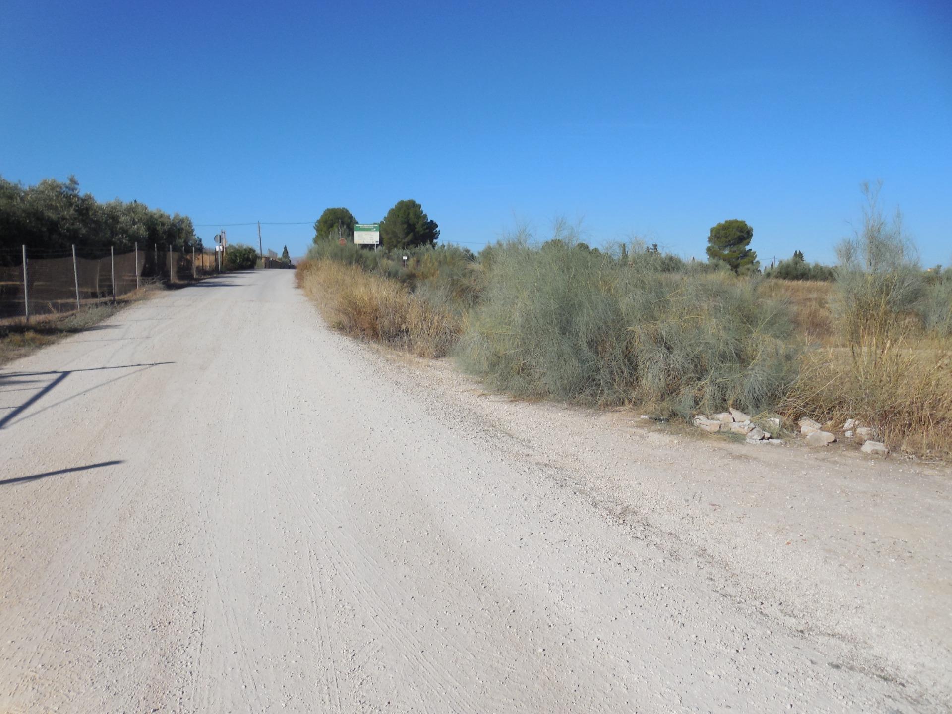 Finca de Regadio en Los Llanos de Moraleda - foto 10