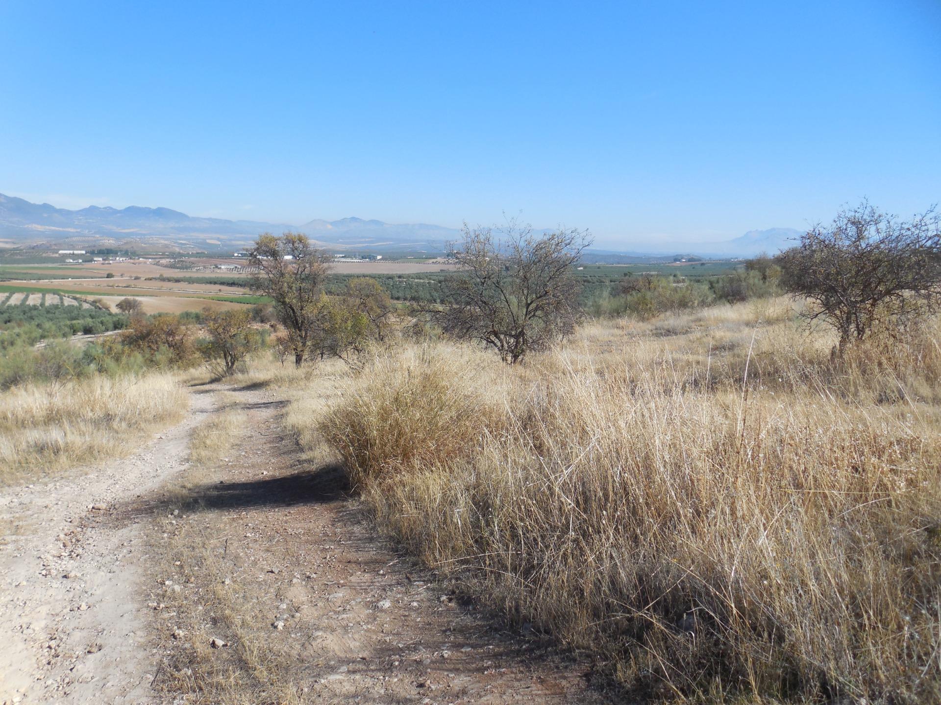 Parcela en Los Tablazos - foto 2