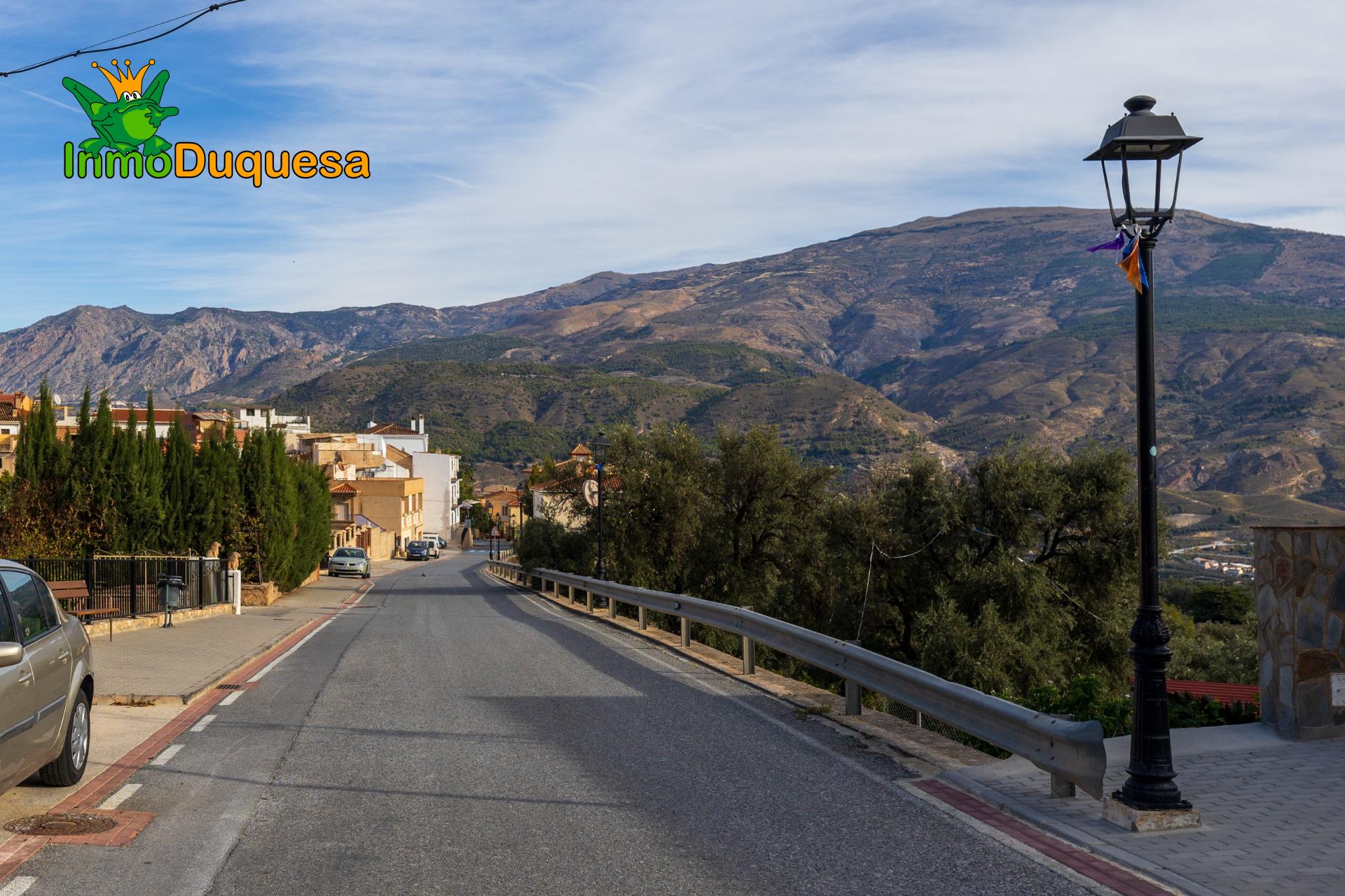 2 Fincas rústicas con mas de 15.000 m2 en total. En Pinos de - foto 8