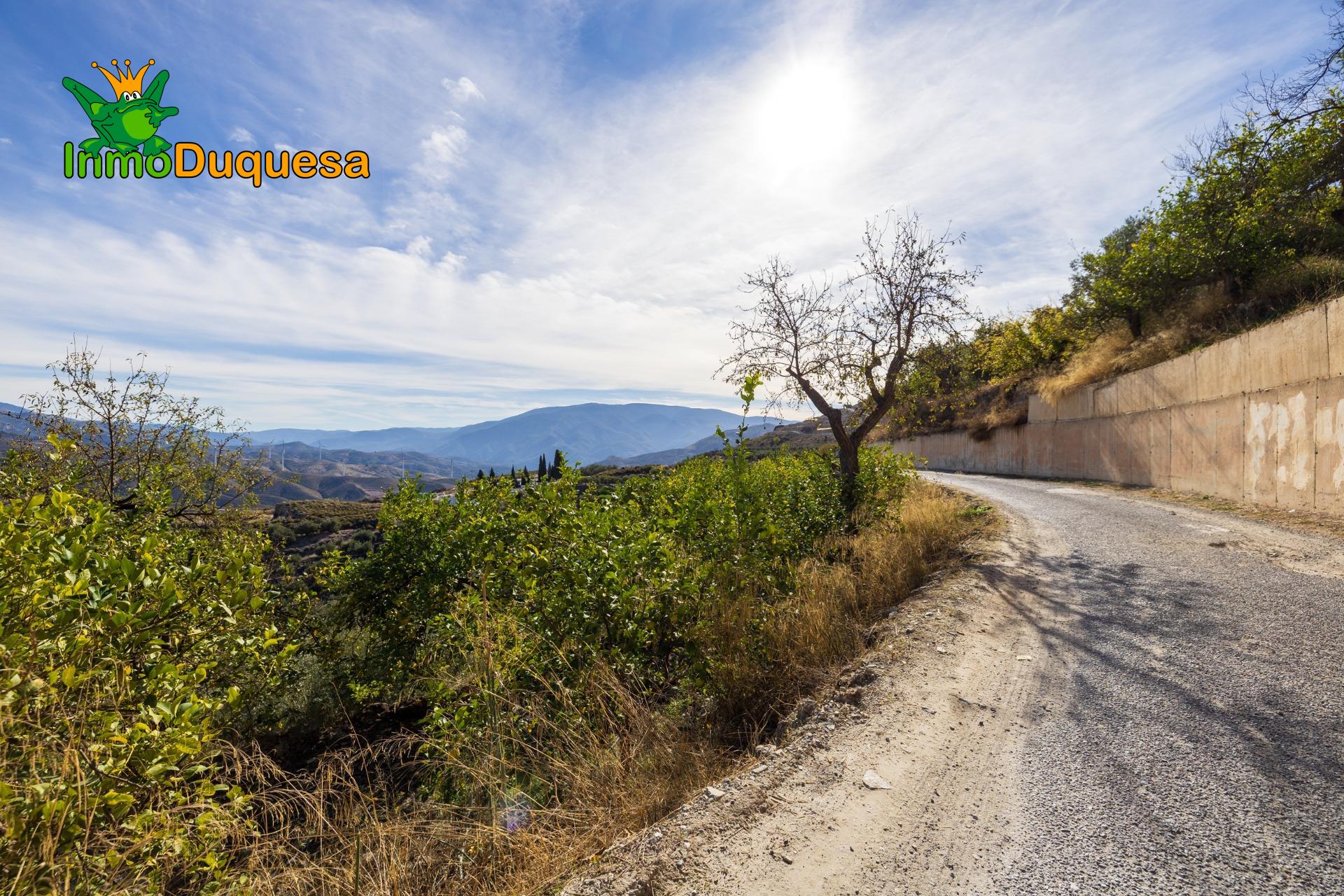 2 Fincas rústicas con mas de 15.000 m2 en total. En Pinos de - foto 48