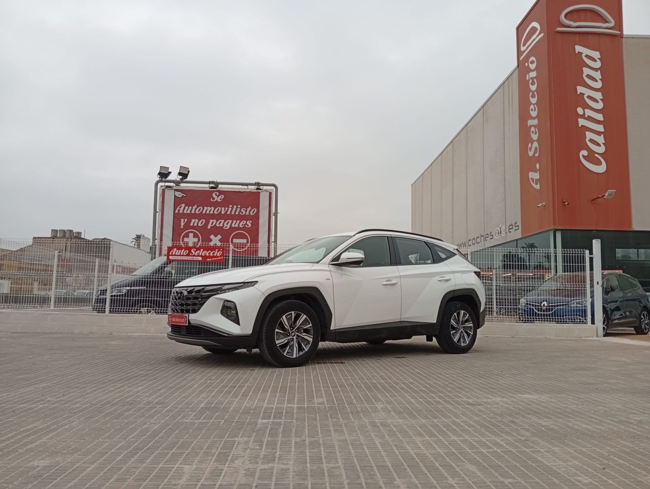 Hyundai Tucson 1.6 TGDI 110kW (150CV) 48V Maxx - foto 2