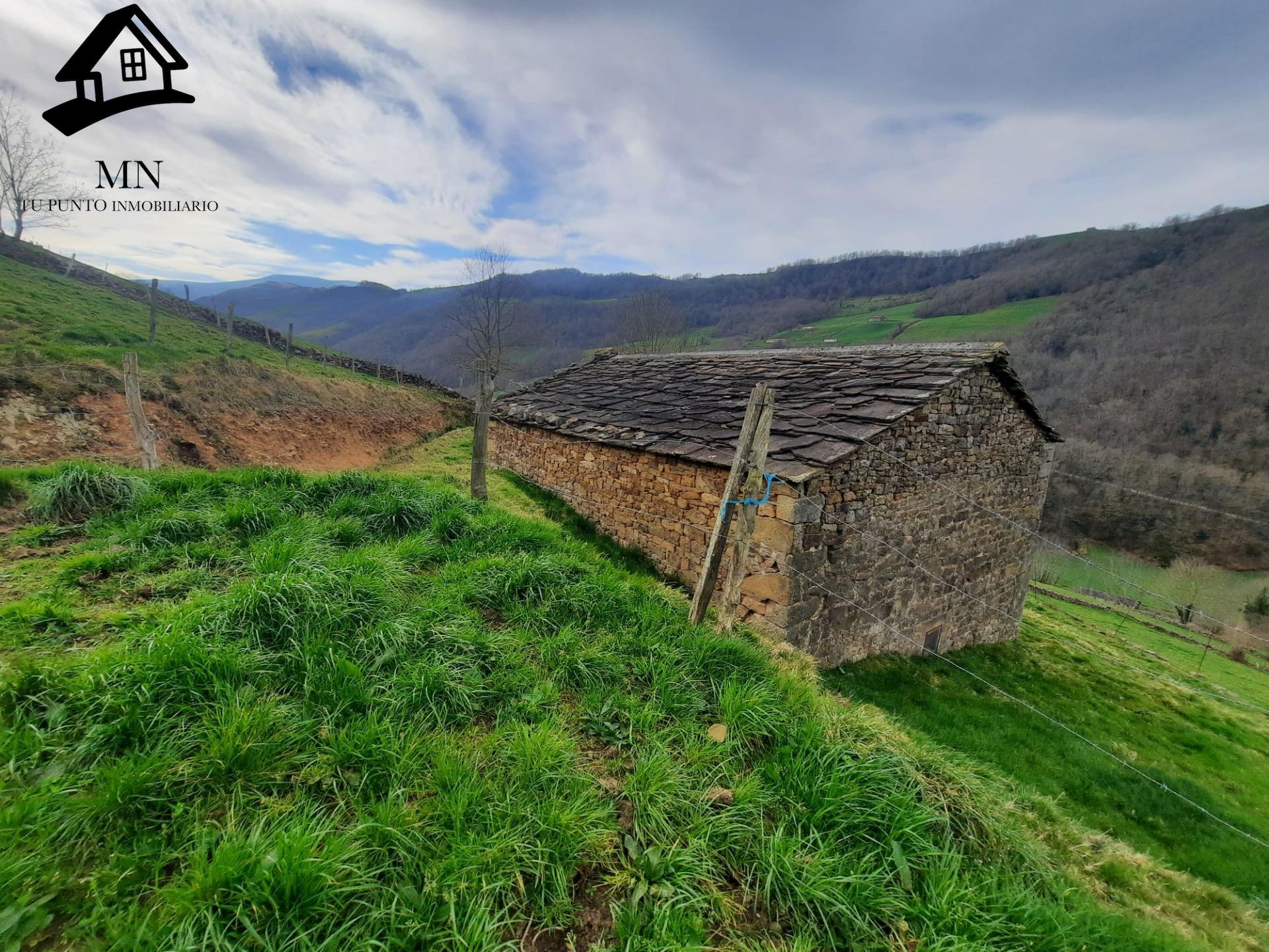 Auténtica Cabaña Pasiega en el Corazón de Vega de Pas: Un Re - foto 3