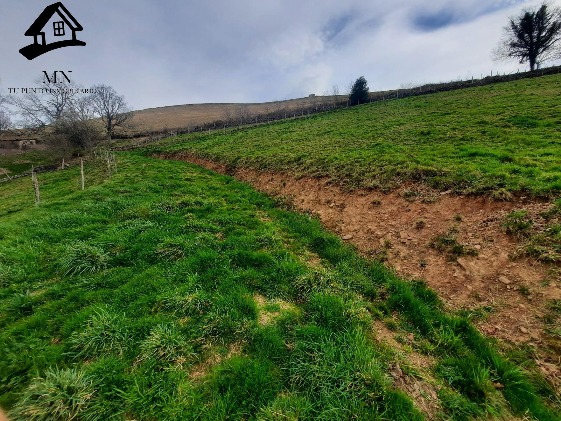 Auténtica Cabaña Pasiega en el Corazón de Vega de Pas: Un Re - foto 22
