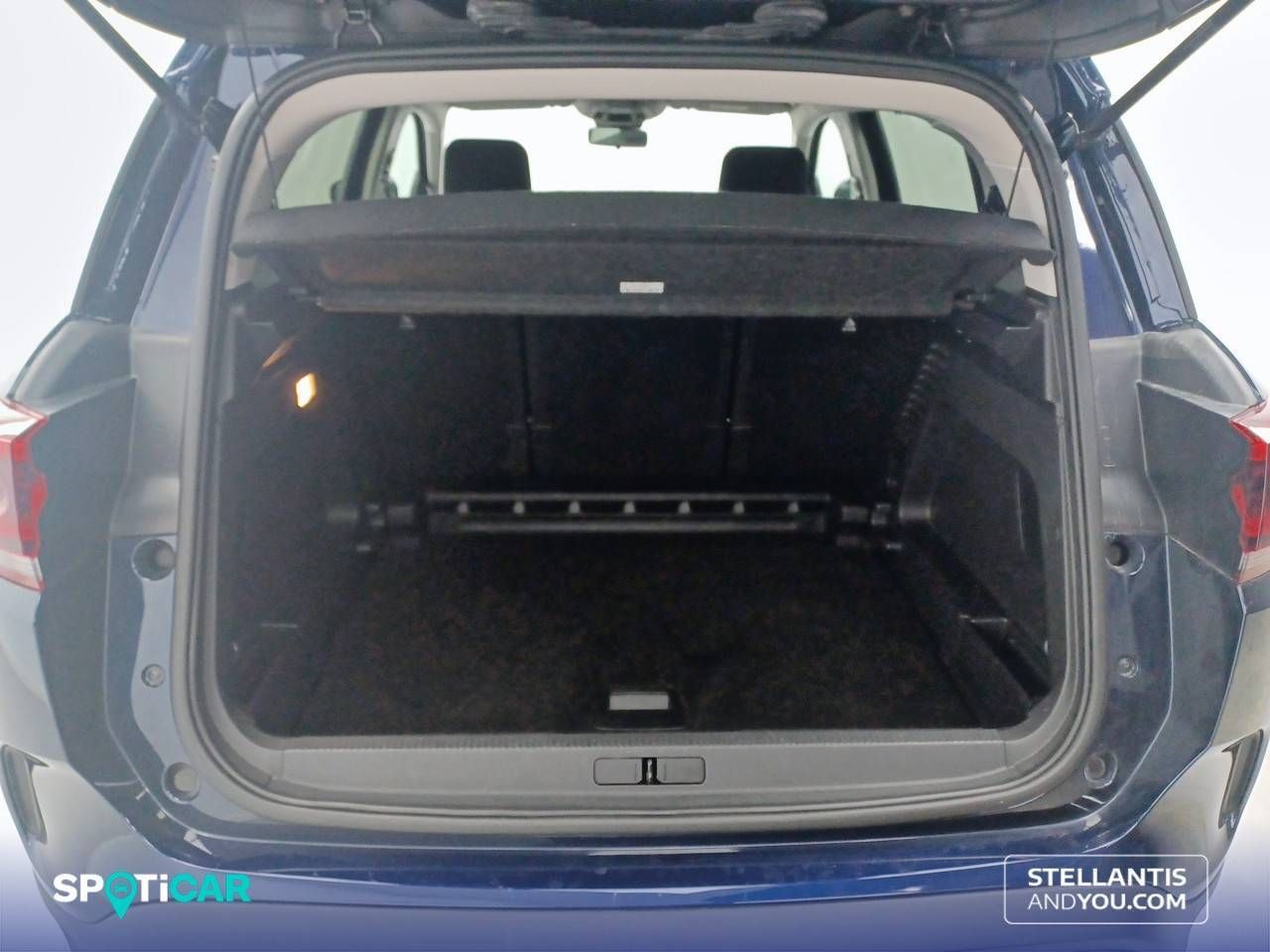 Citroën C5 Aircross BlueHdi 96kW (130CV) S&S EAT8 Plus - foto 6