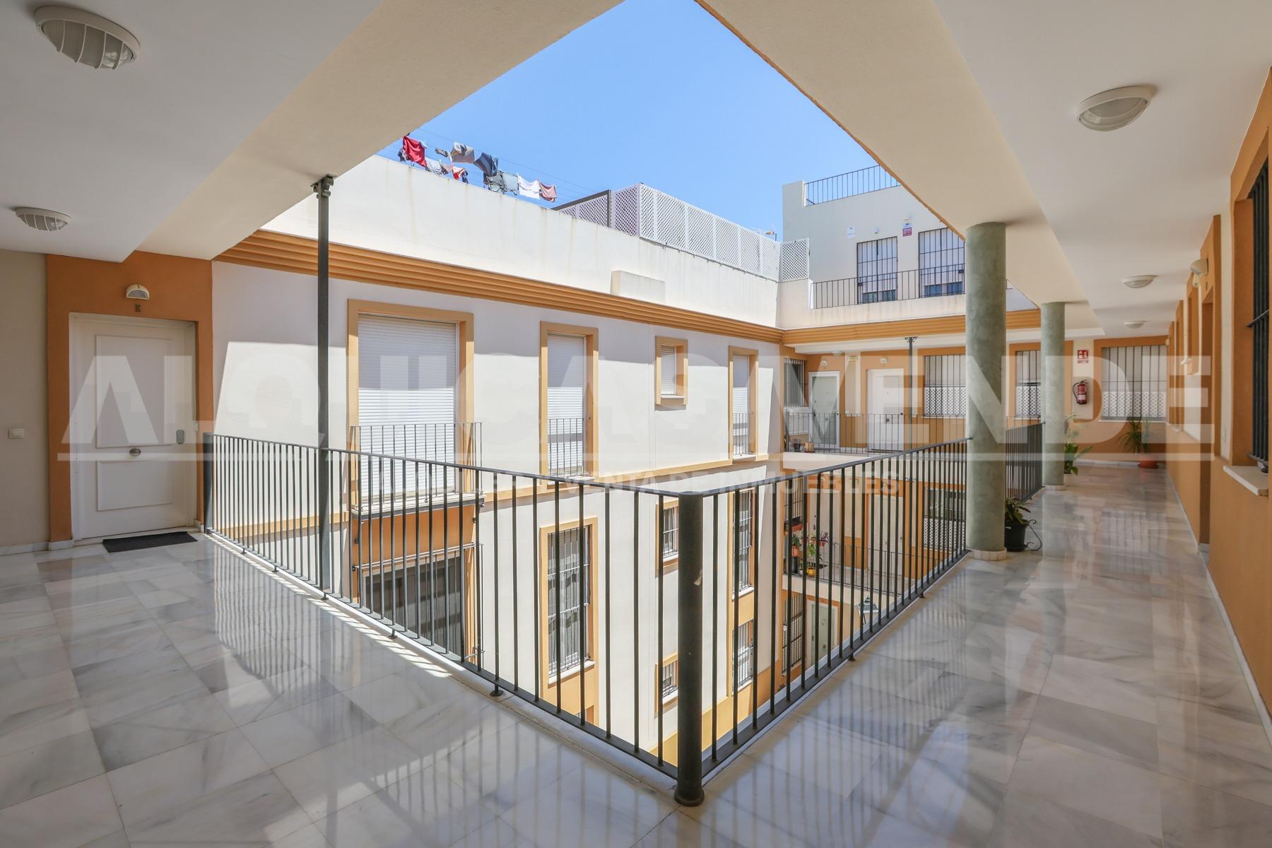 Centro Alameda de Hércules junto. excelente y coqueta vivien - foto 19