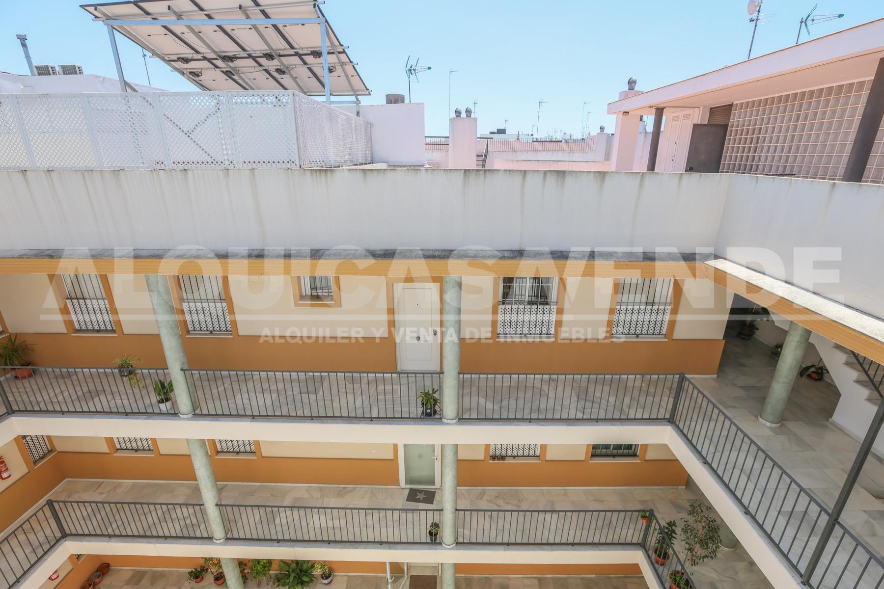 Centro Alameda de Hércules junto. excelente y coqueta vivien - foto 25