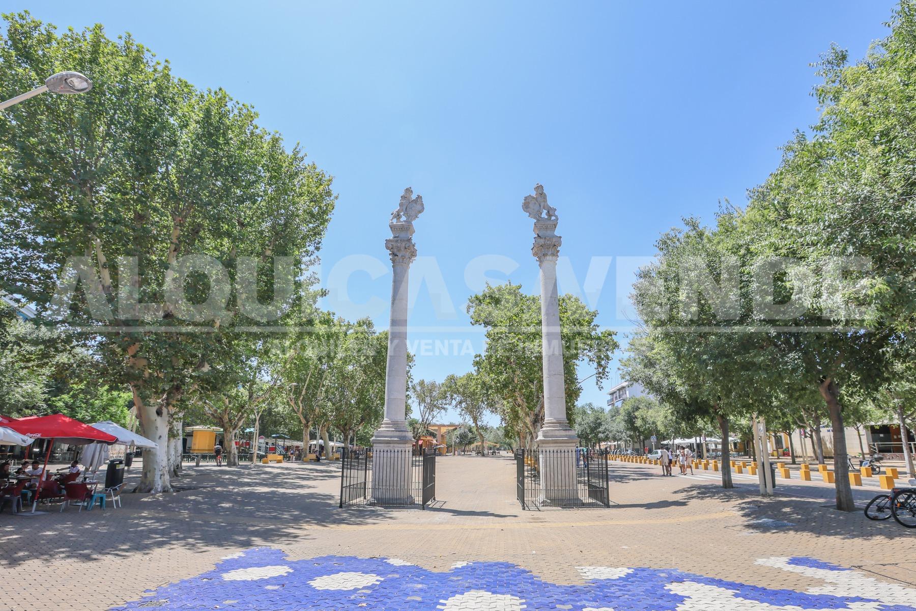 Centro Alameda de Hércules junto. excelente y coqueta vivien - foto 31