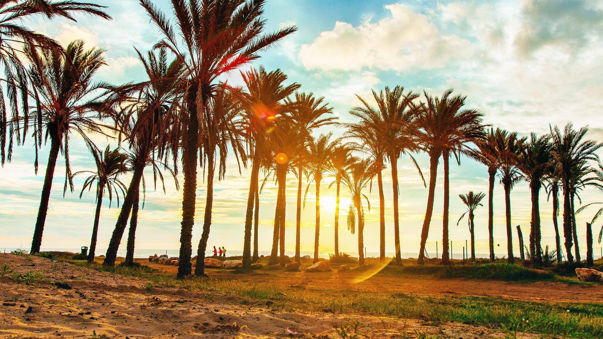 Planta baja con parking y gran jardín privado en Residencial - foto 35