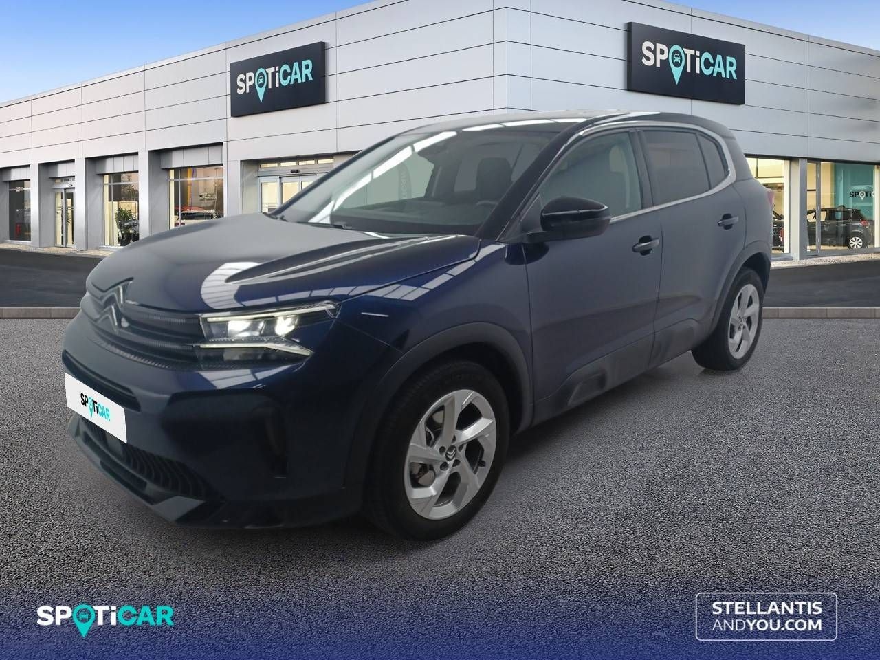 Citroën C5 Aircross BlueHdi 96kW (130CV) S&S EAT8 Plus