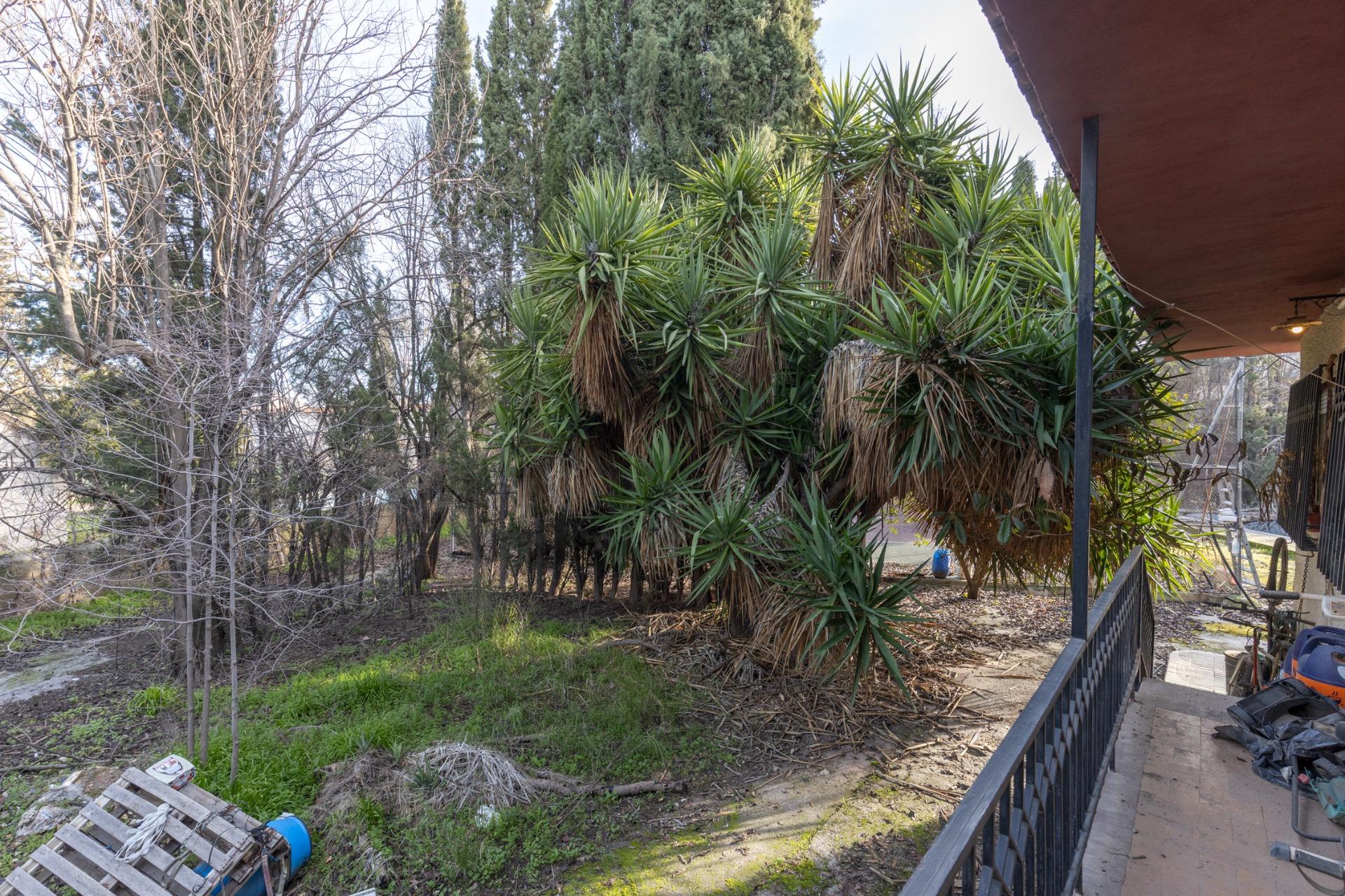 ¡¡¡¡EXCEPCIONAL INMUEBLE CON MULTIPLES POSIBILIDADES!!!! - foto 38