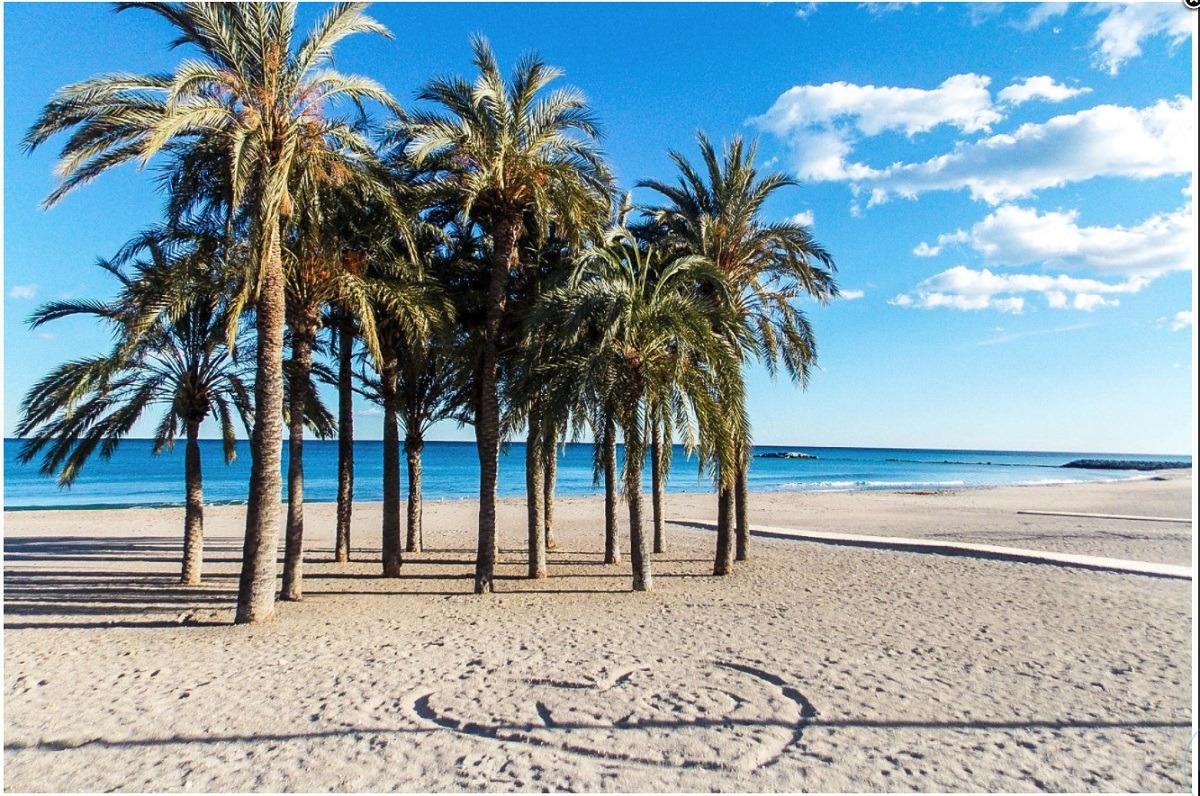 Apartamento en Albamar con 2 dormitorios y solárium - foto 26