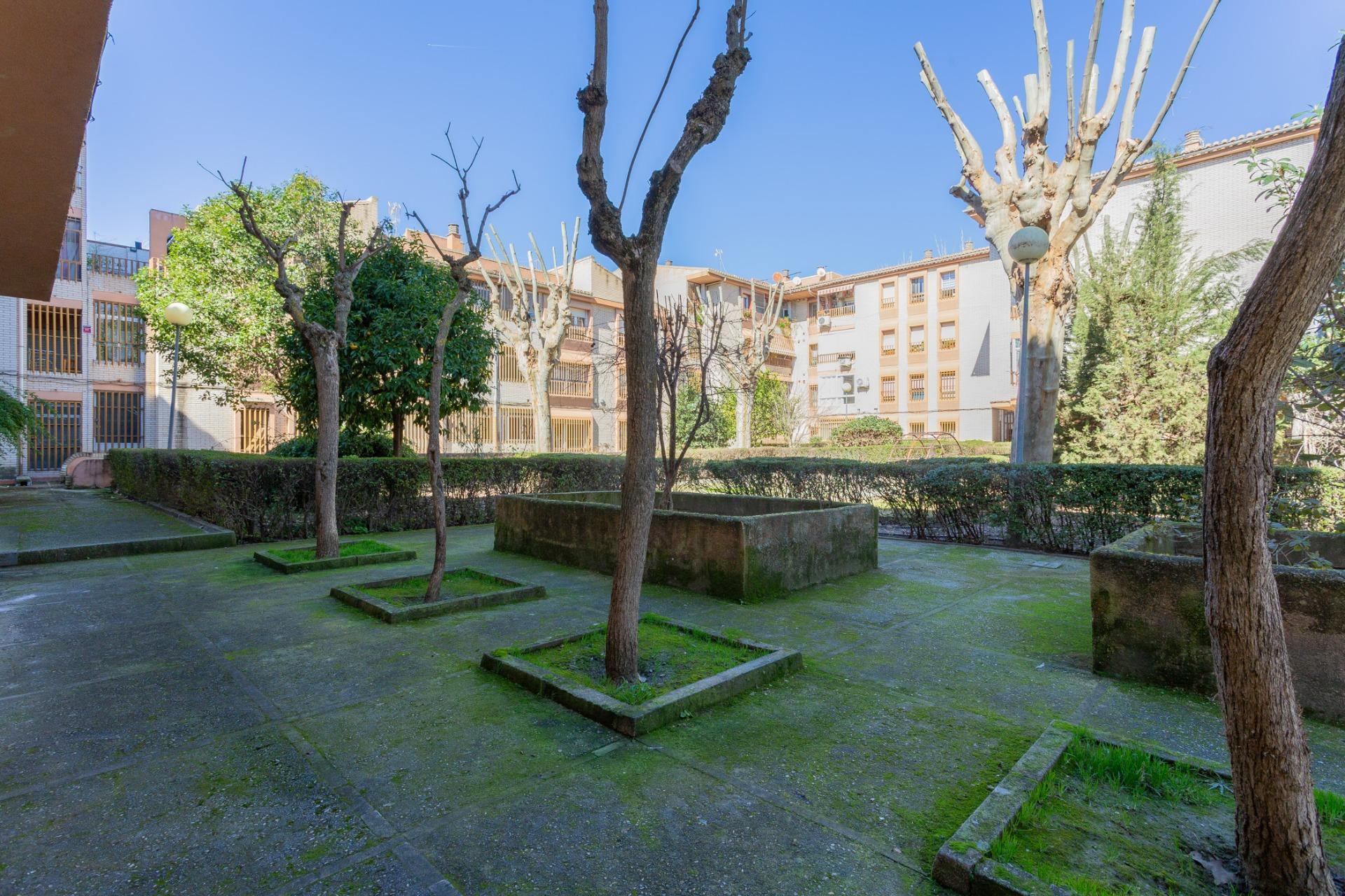 LOCAL  CON PROYECTO  DE  DOS APARTAMENTOS - foto 19