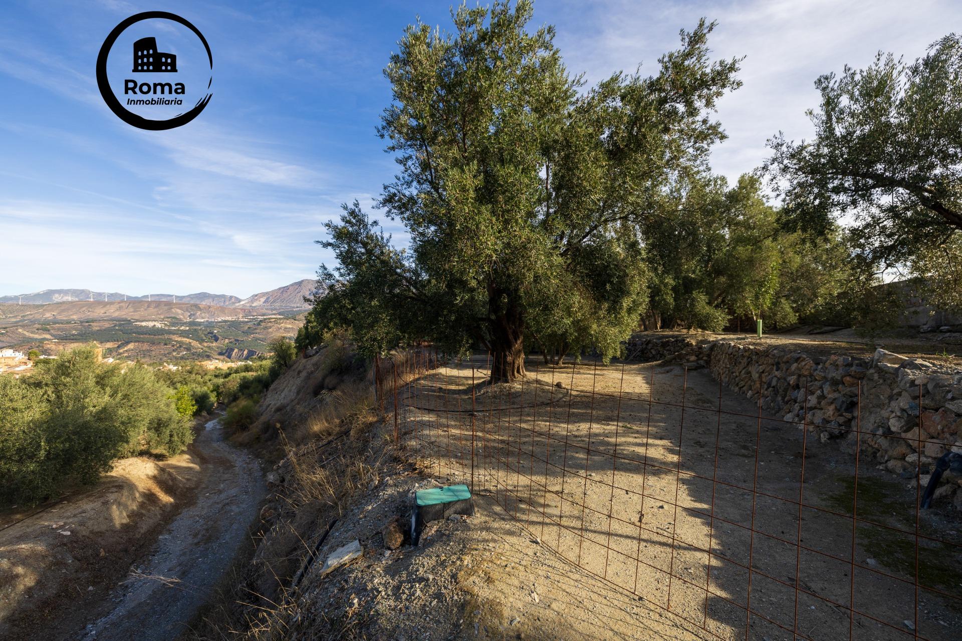 ¡Oportunidad única! Dos Fincas rústicas de mas de 15.000 m2  - foto 11