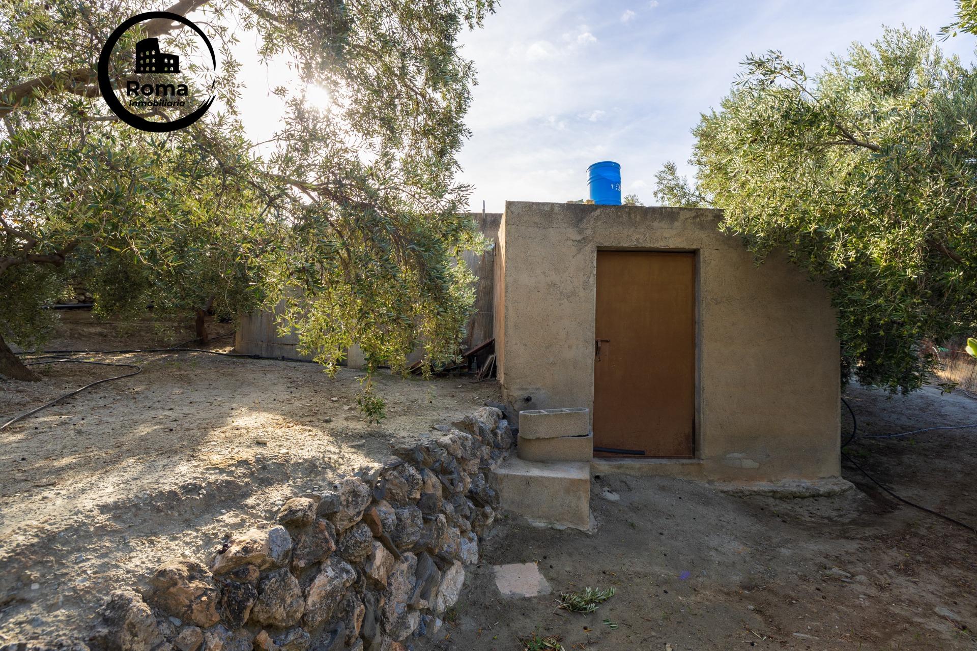 ¡Oportunidad única! Dos Fincas rústicas de mas de 15.000 m2  - foto 20