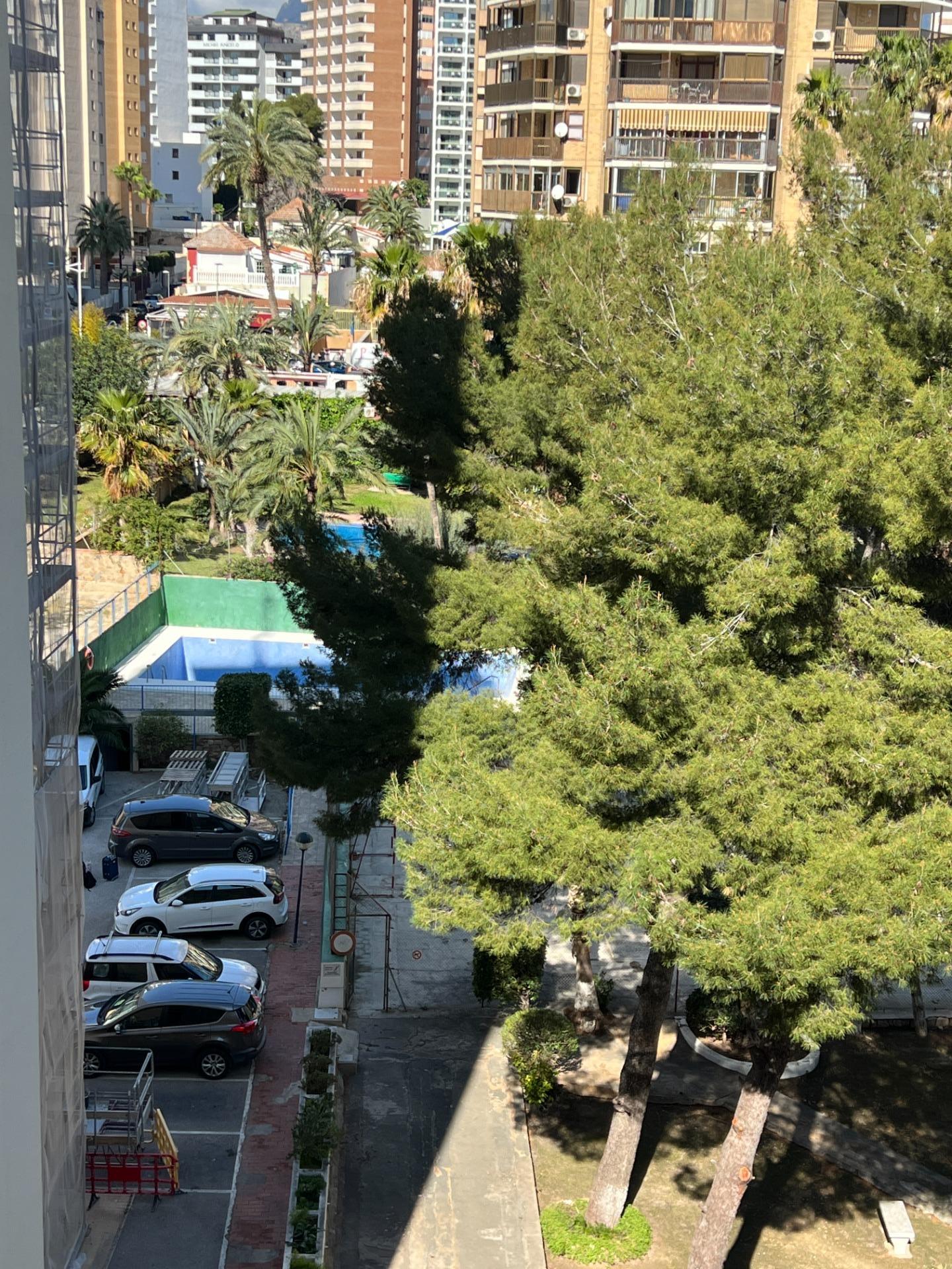 Piso céntrico de 3 dormitorios en Benidorm - foto 2