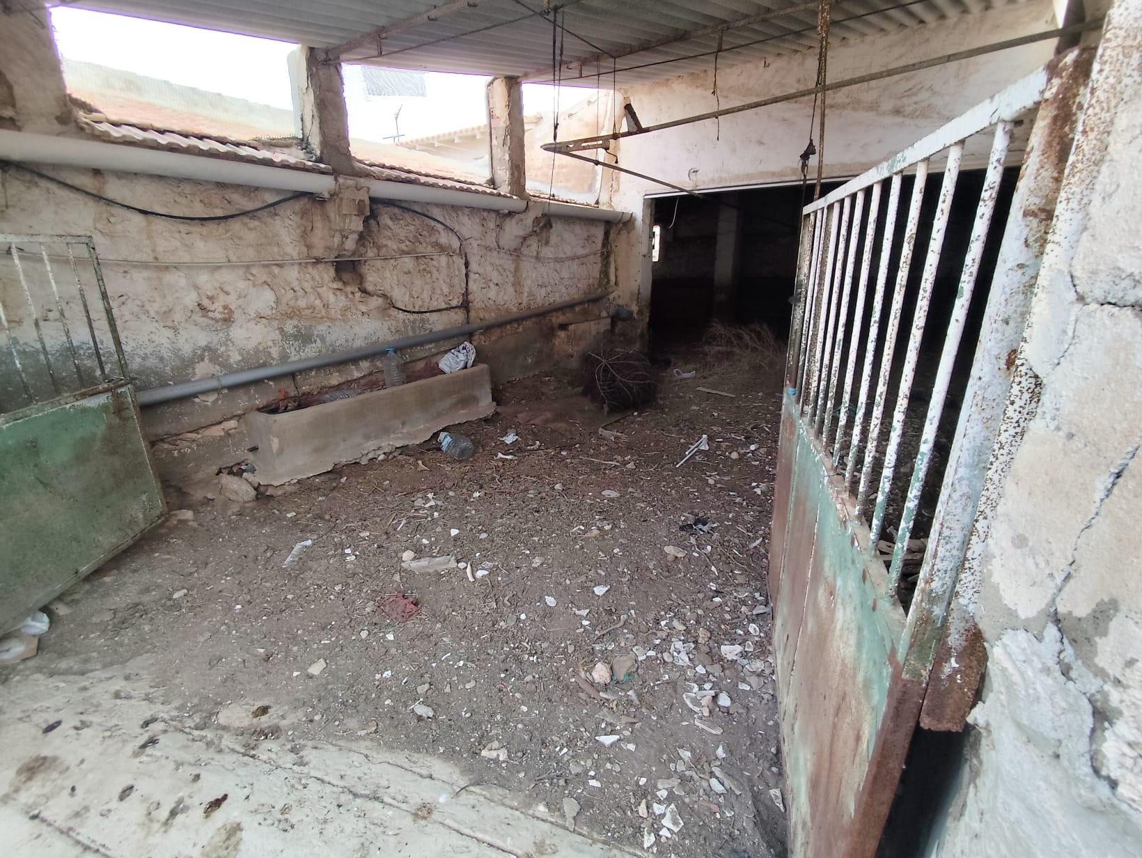 Casa con 3 dormitorios y patio en Los Almagros – Ideal para  - foto 9