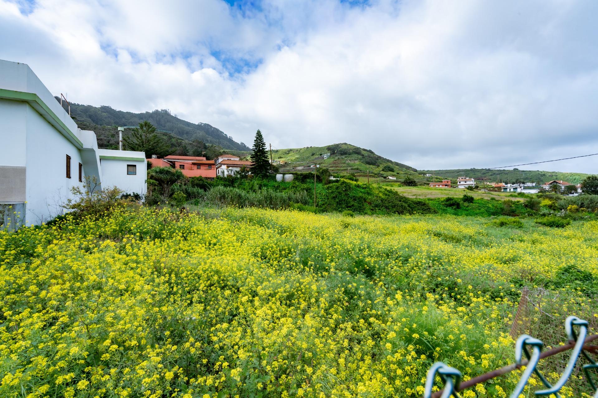 Parcela urbana de 2.015 m2 en Tegueste junto al Mercadillo – - foto 23