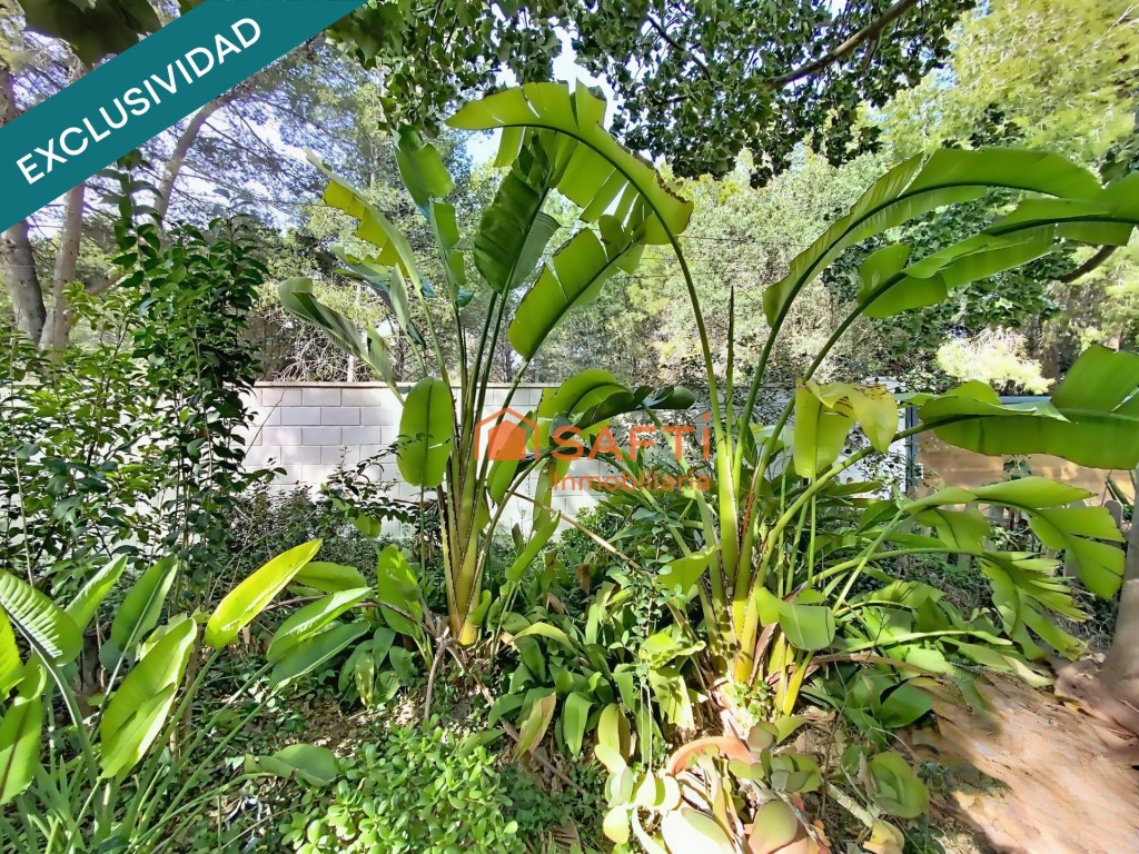 Propiedad única con dos viviendas y jardín. - foto 76