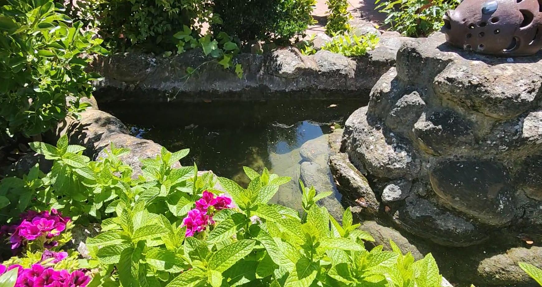 Apartamentos turísticos en Zafra, Badajoz – “El Campito” - foto 16