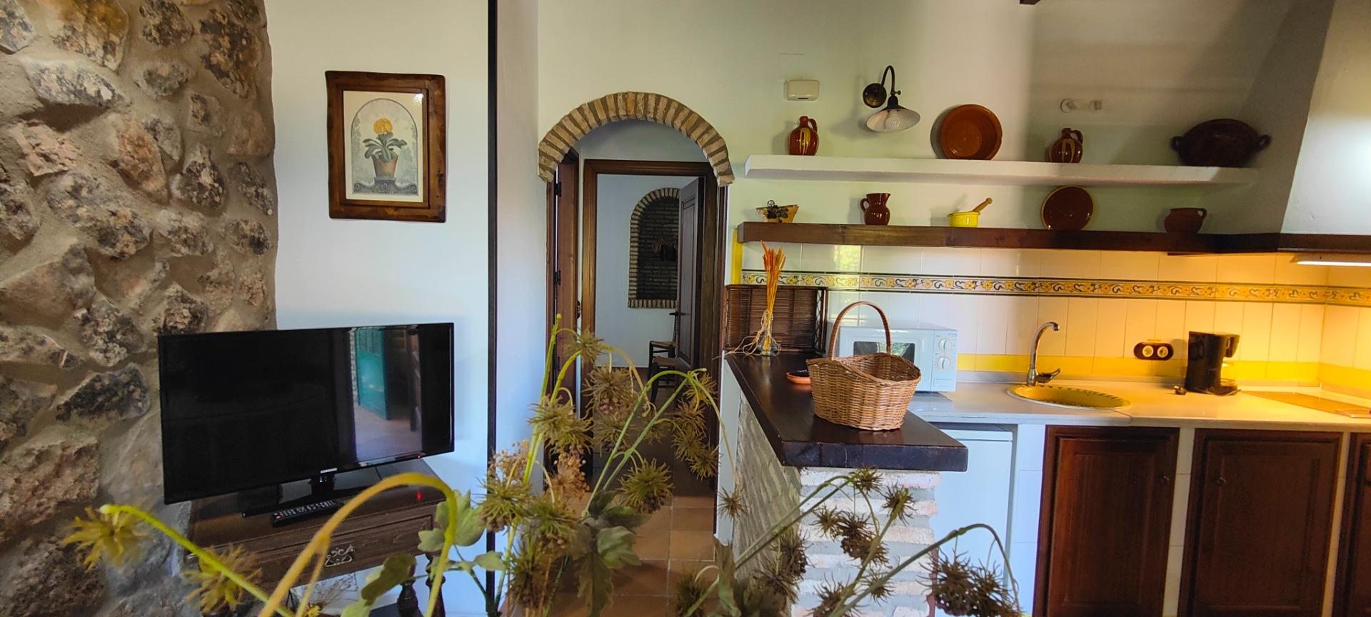 Apartamentos turísticos en Zafra, Badajoz – “El Campito” - foto 46