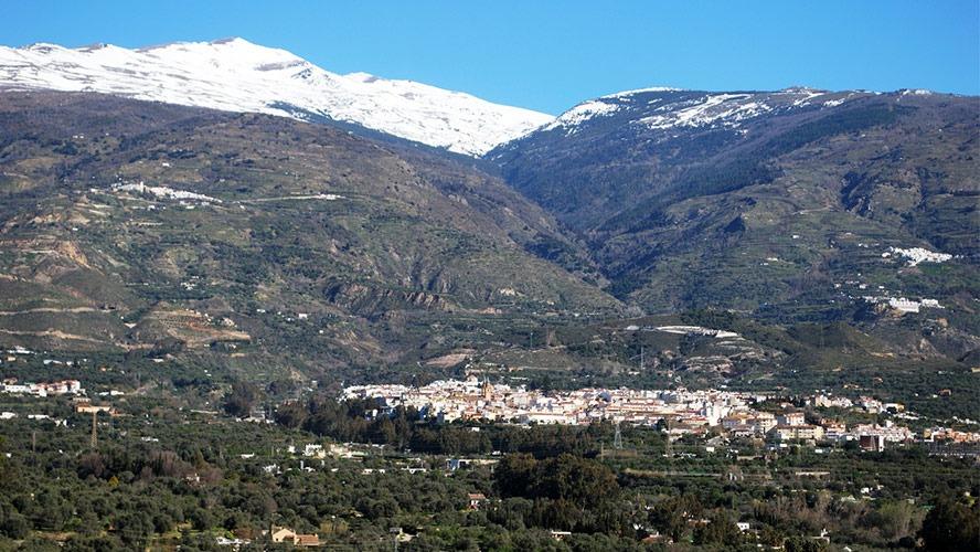 Encantadora finca rústica con casa, piscina y frutales en Ór