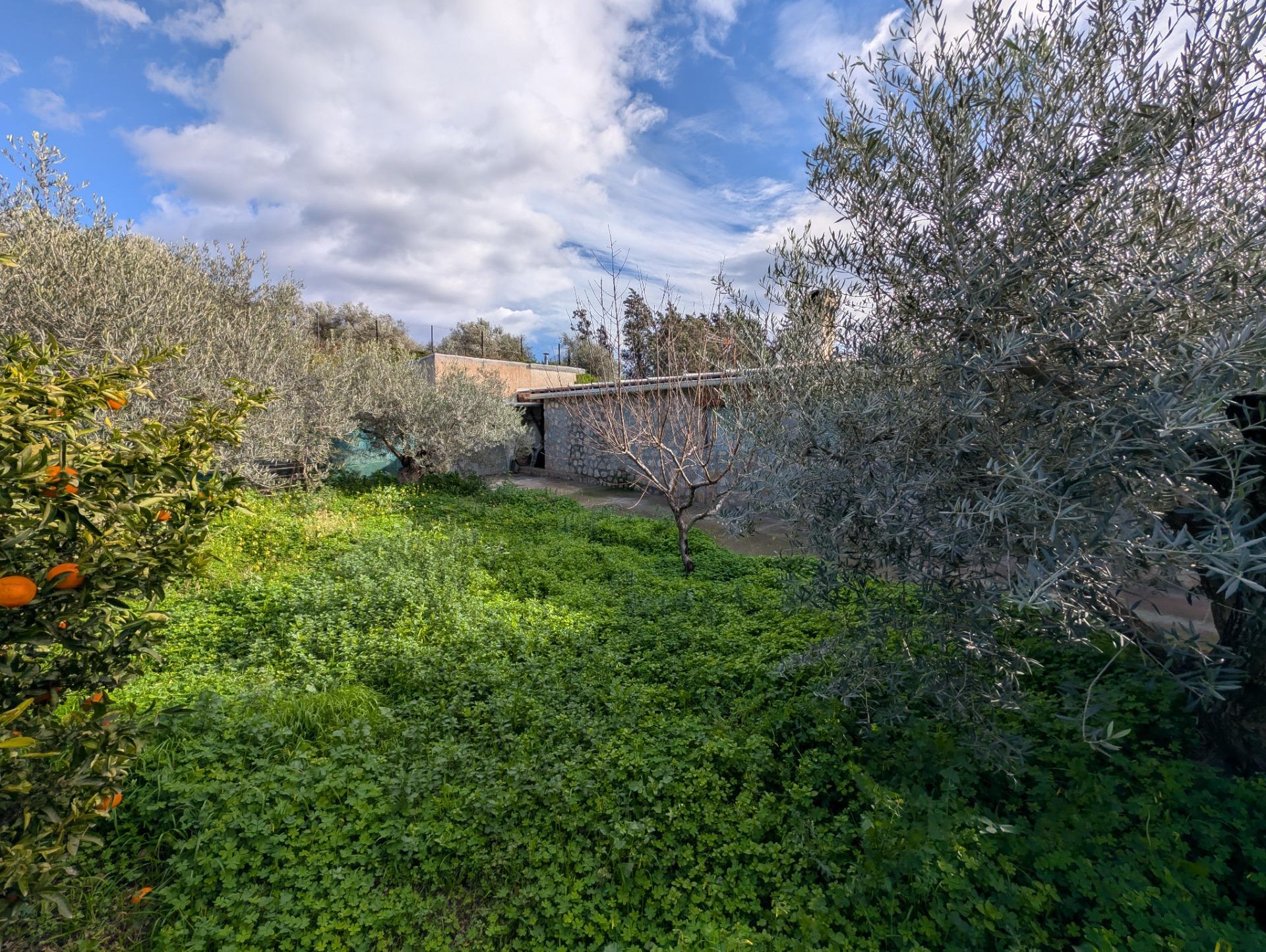 Encantadora finca rústica con casa, piscina y frutales en Ór - foto 33