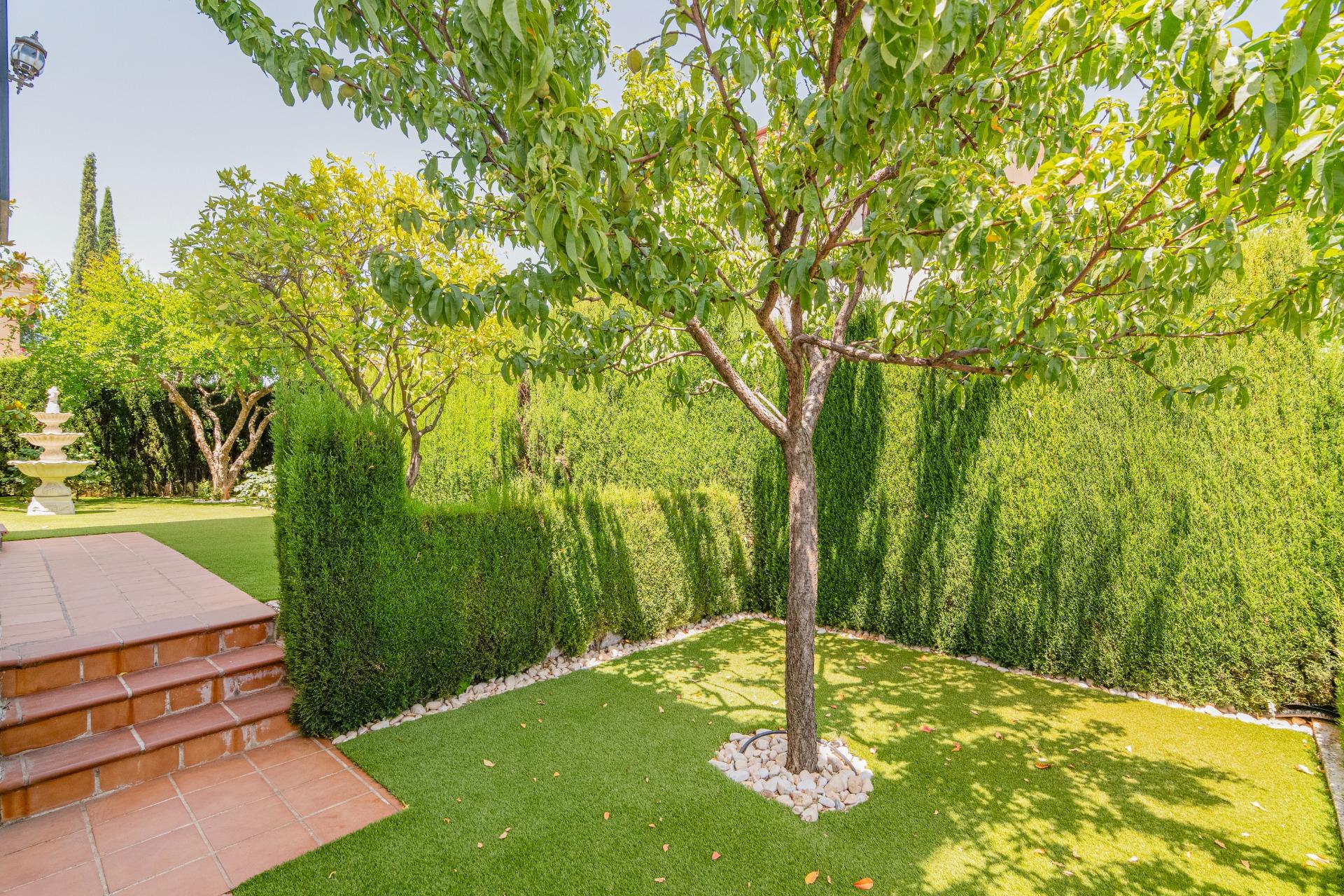 BONITO CAHLET INDEPENDIENTE CON PISCINA¡¡¡ - foto 43