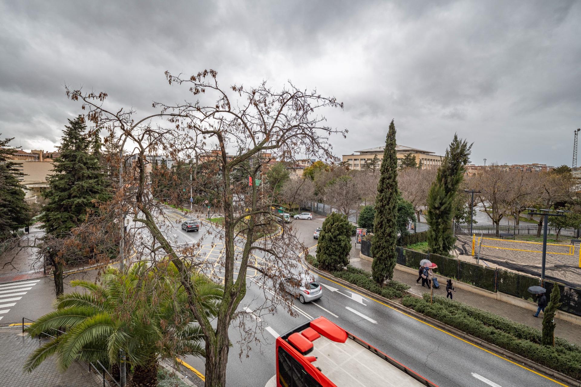 Gran Piso Reformado en Constitución, Frente a Paseillos Univ - foto 39