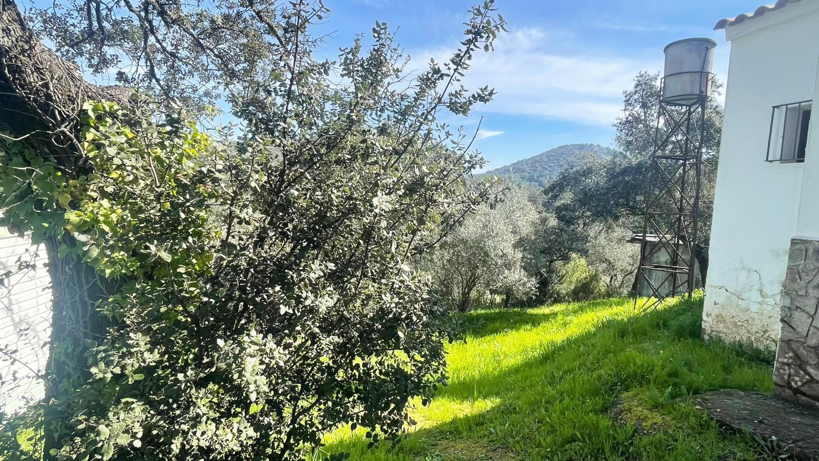 ¡¡ CASA CON TERENO Y PISCINA EN VILLAHARTA!! - foto 35