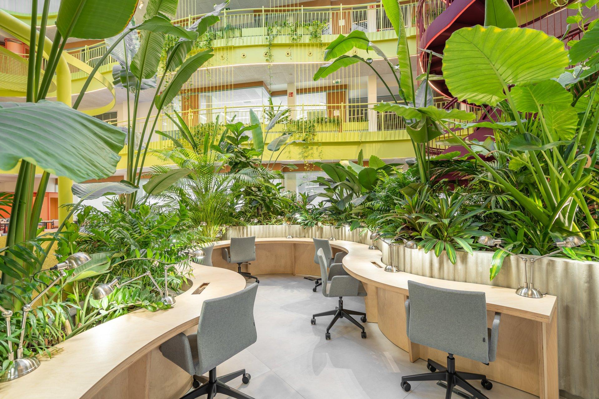 Oficina en alquiler en Paseo de la Habana - foto 3