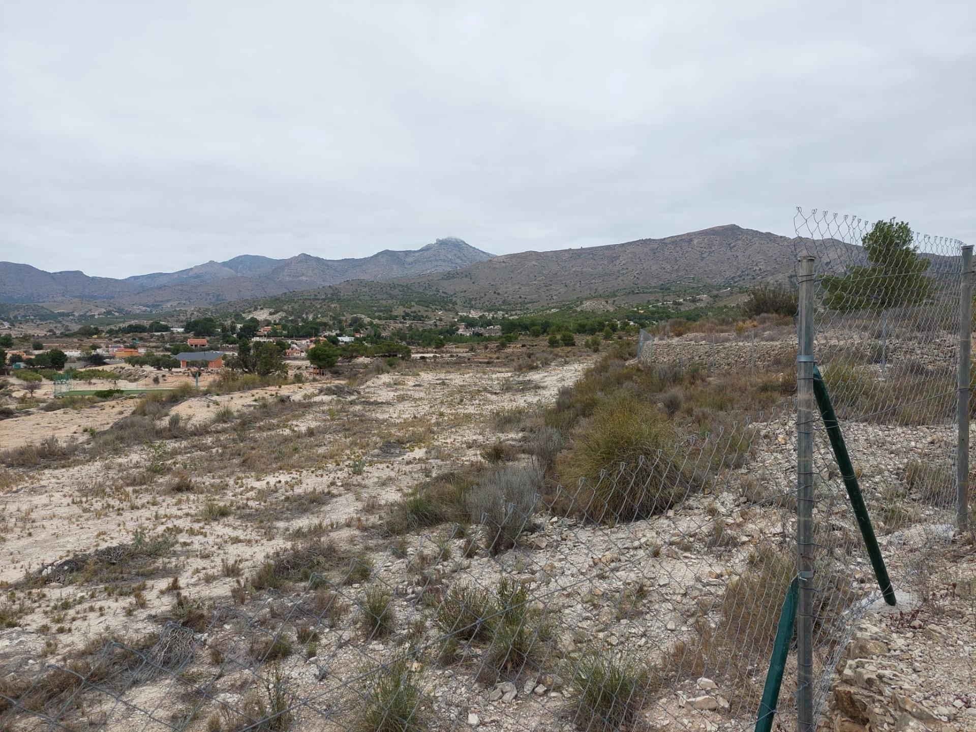 Terreno Rústico - Zona Ventos - Agost - foto 3