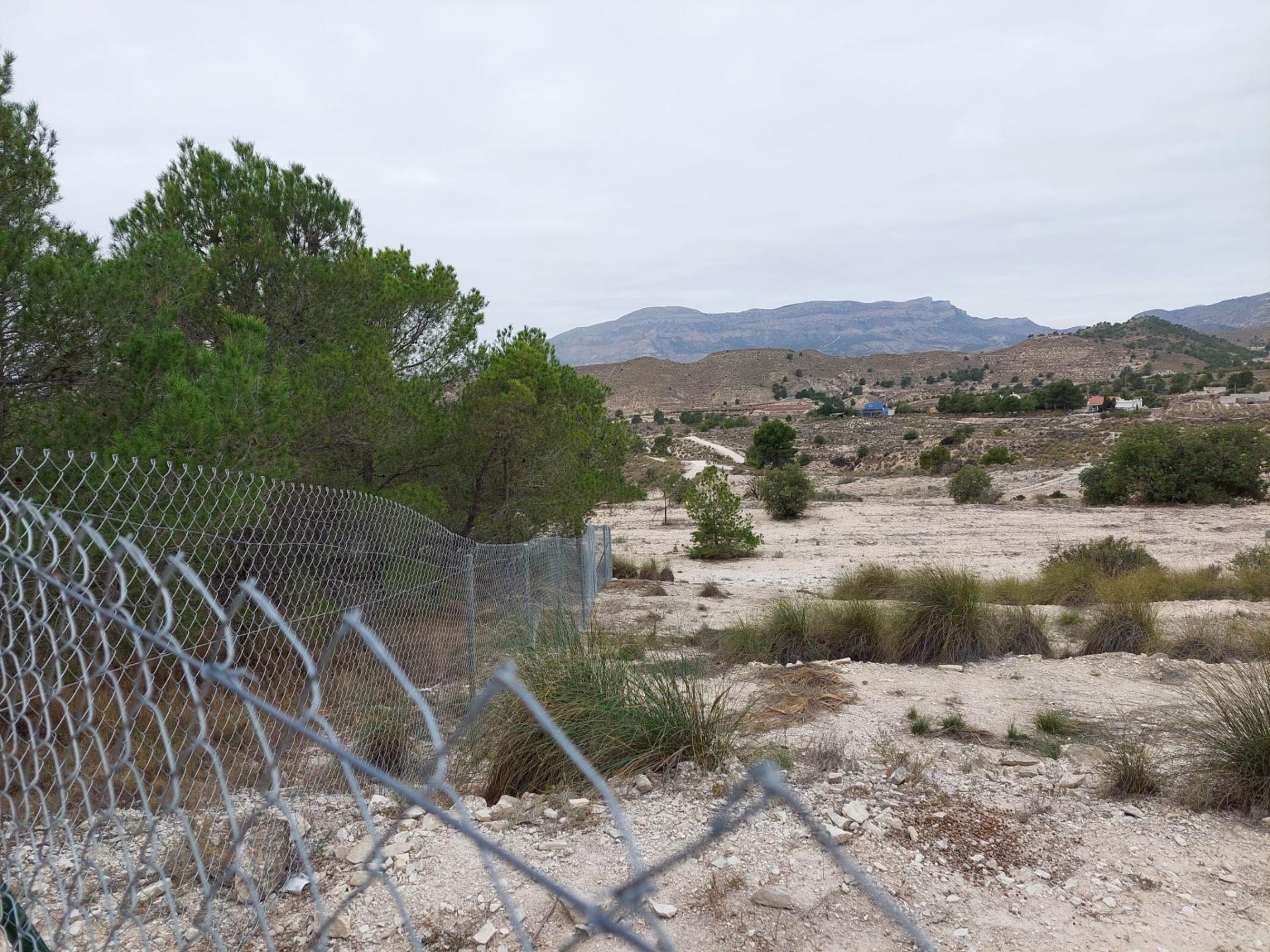 Terreno Rústico - Zona Ventos - Agost - foto 5