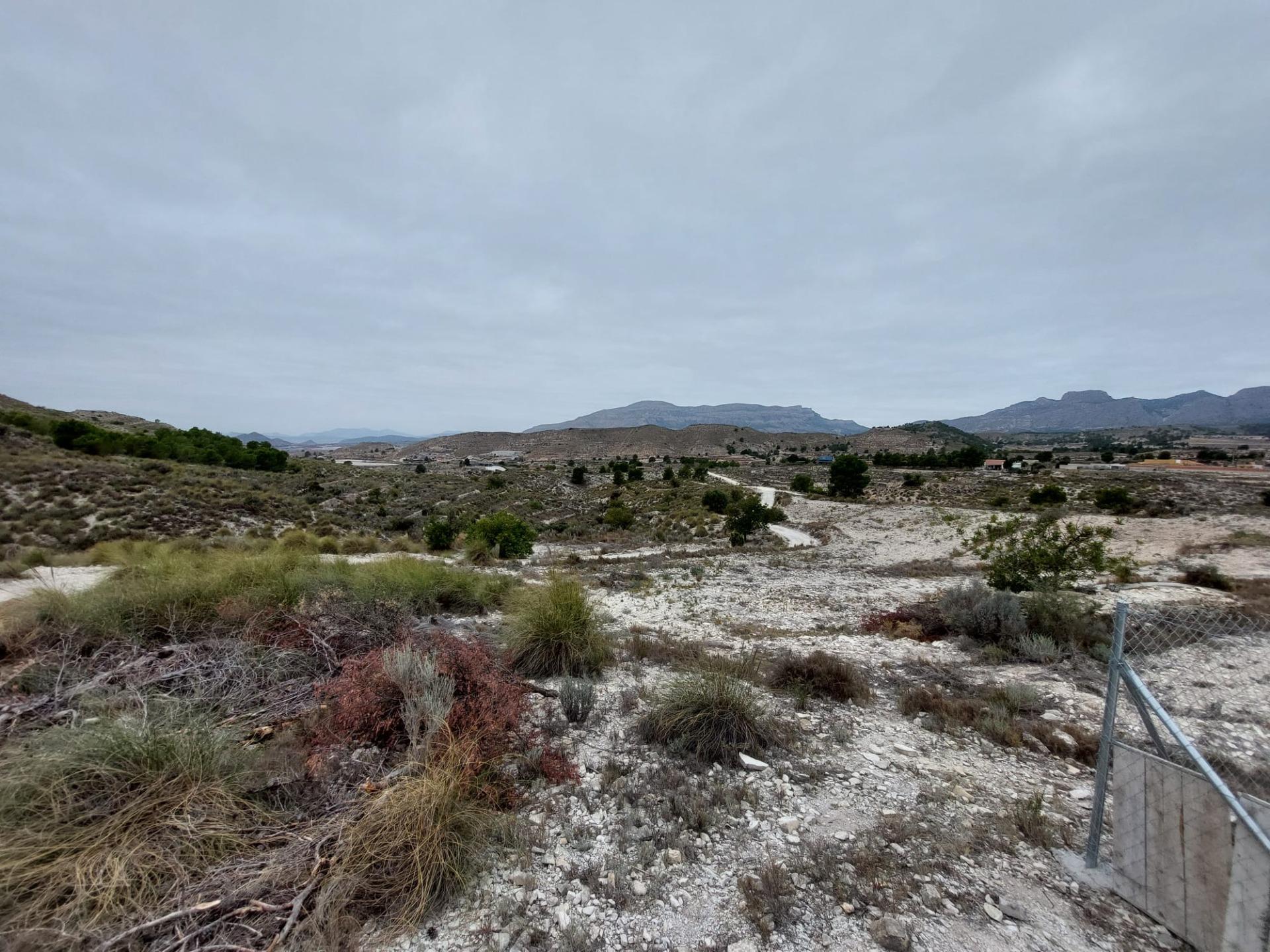 Terreno Rústico - Zona Ventos - Agost - foto 8