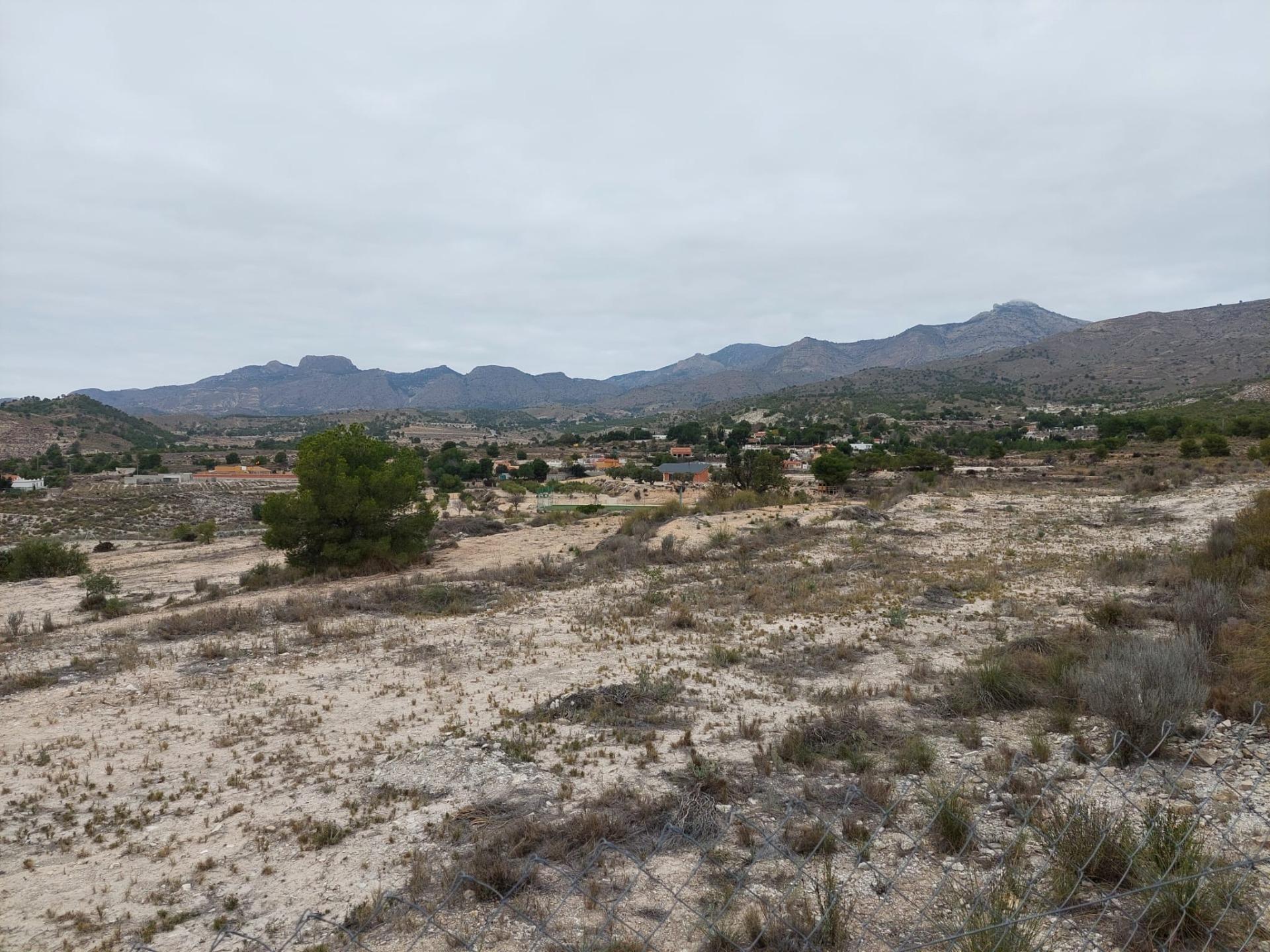 Terreno Rústico - Zona Ventos - Agost - foto 15